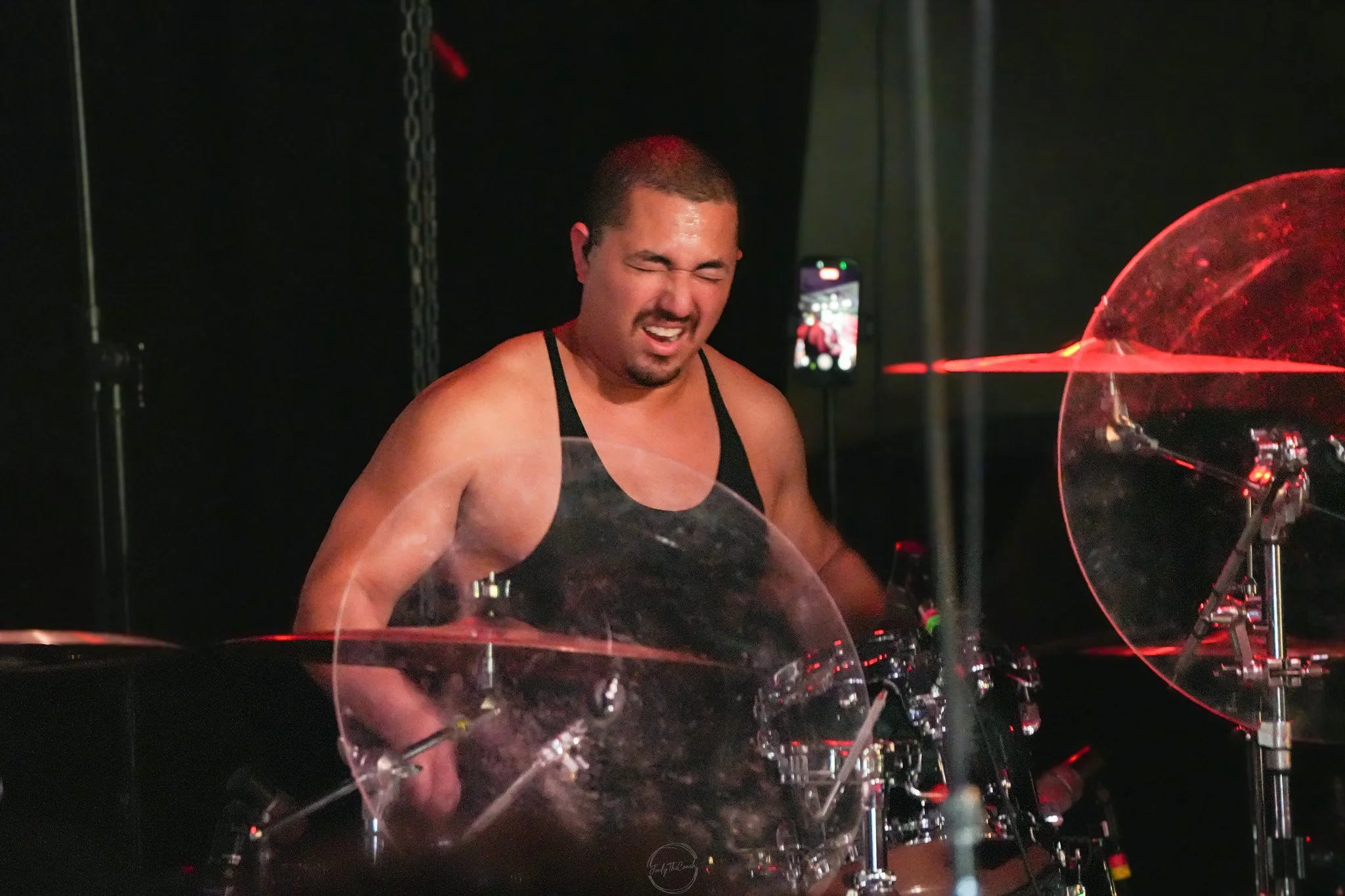 Stray 04-20-81.jpg