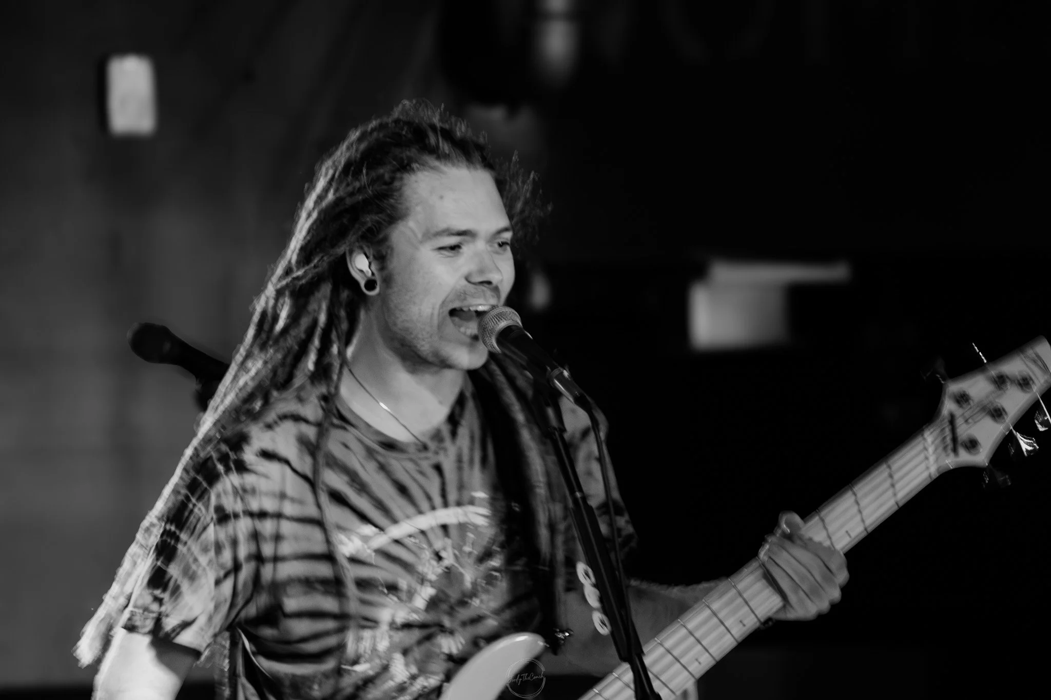 Stray 04-20-41.jpg