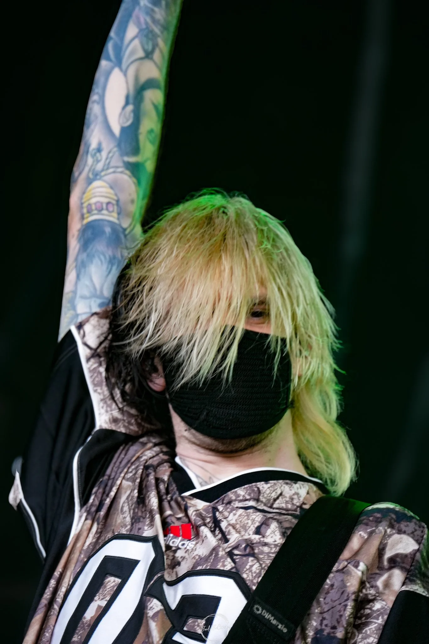 Alphawolf SOL-34.jpg