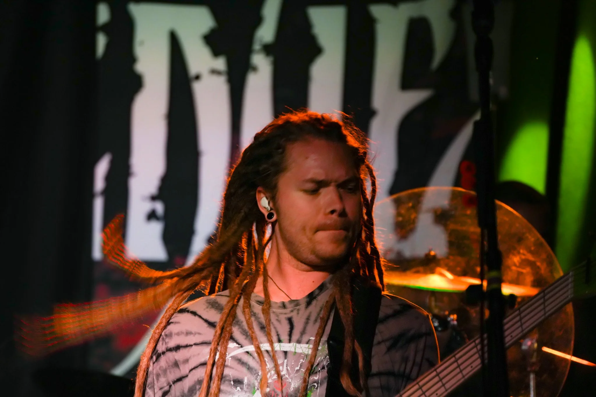 Stray 04-20-115.jpg
