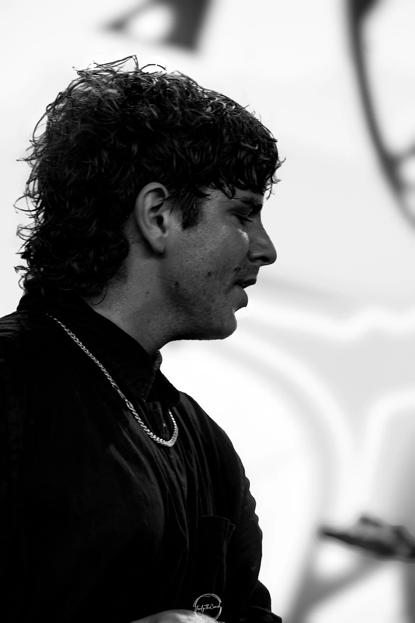 Alphawolf SOL-37.jpg