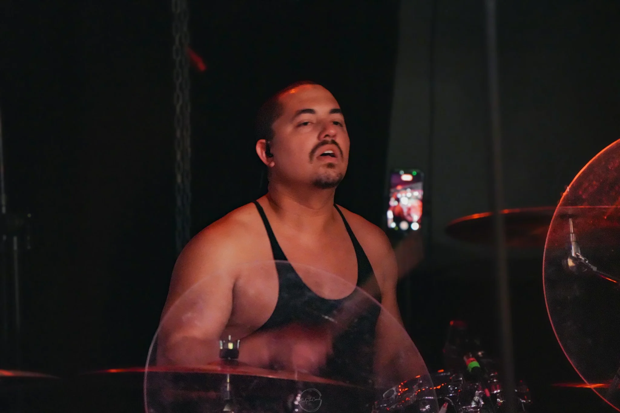 Stray 04-20-52.jpg