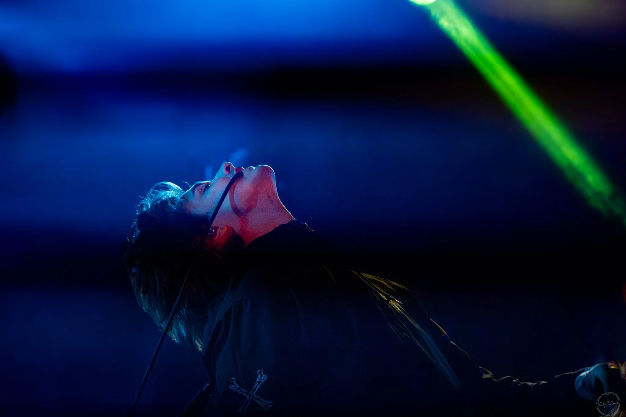 Gallows Tour - Colorblind-74.jpg