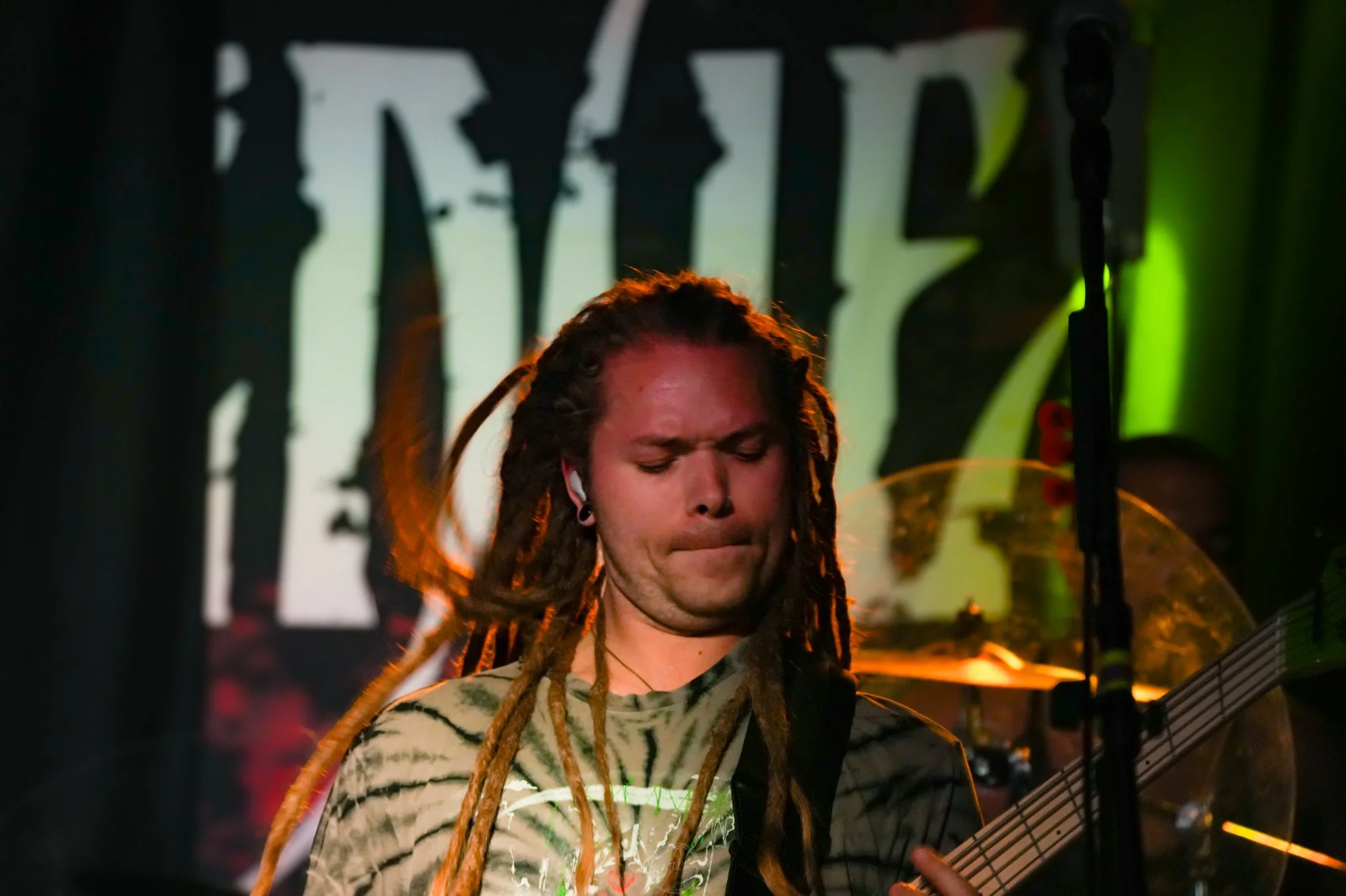 Stray 04-20-114.jpg