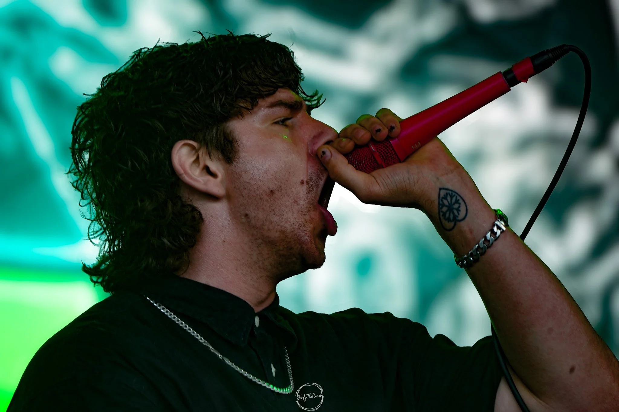 Alphawolf SOL-21.jpg