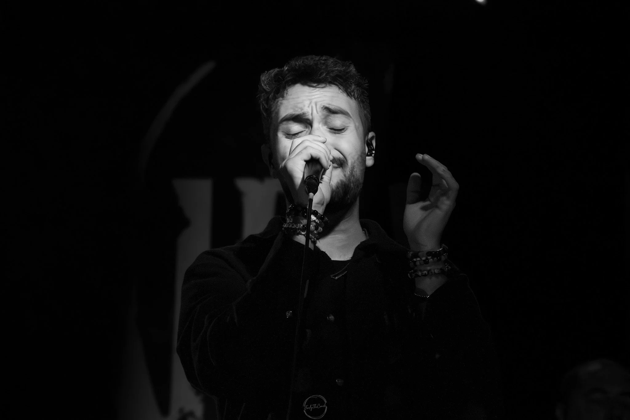 Stray 04-20-33.jpg