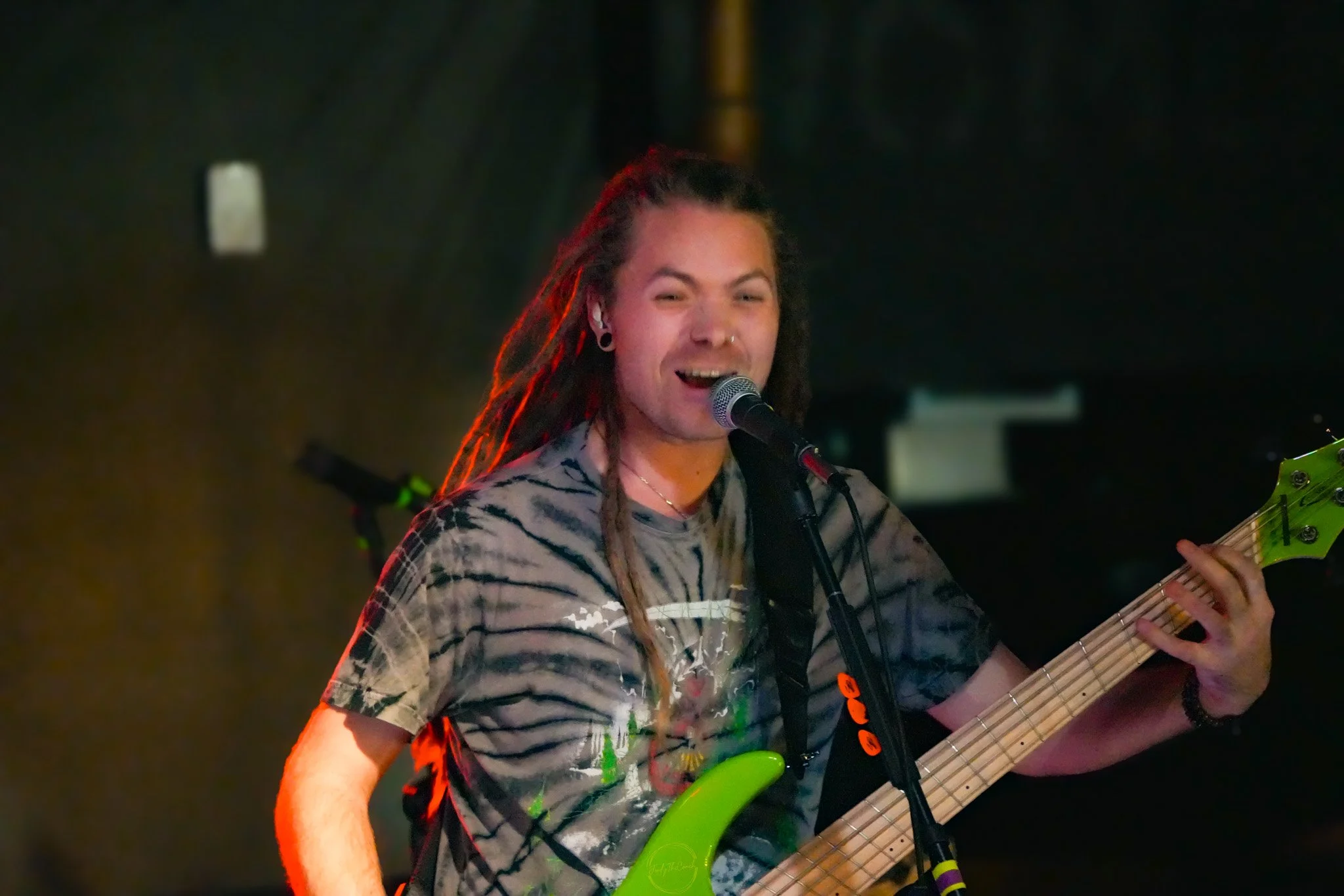 Stray 04-20-48.jpg