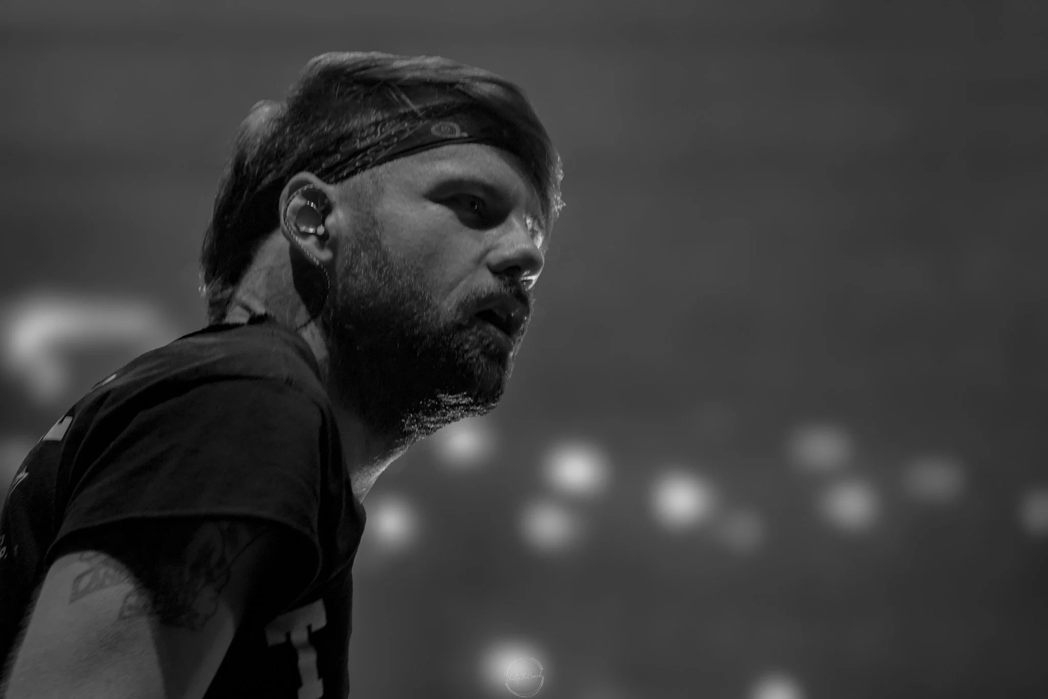 Beartooth SOL-491.jpg