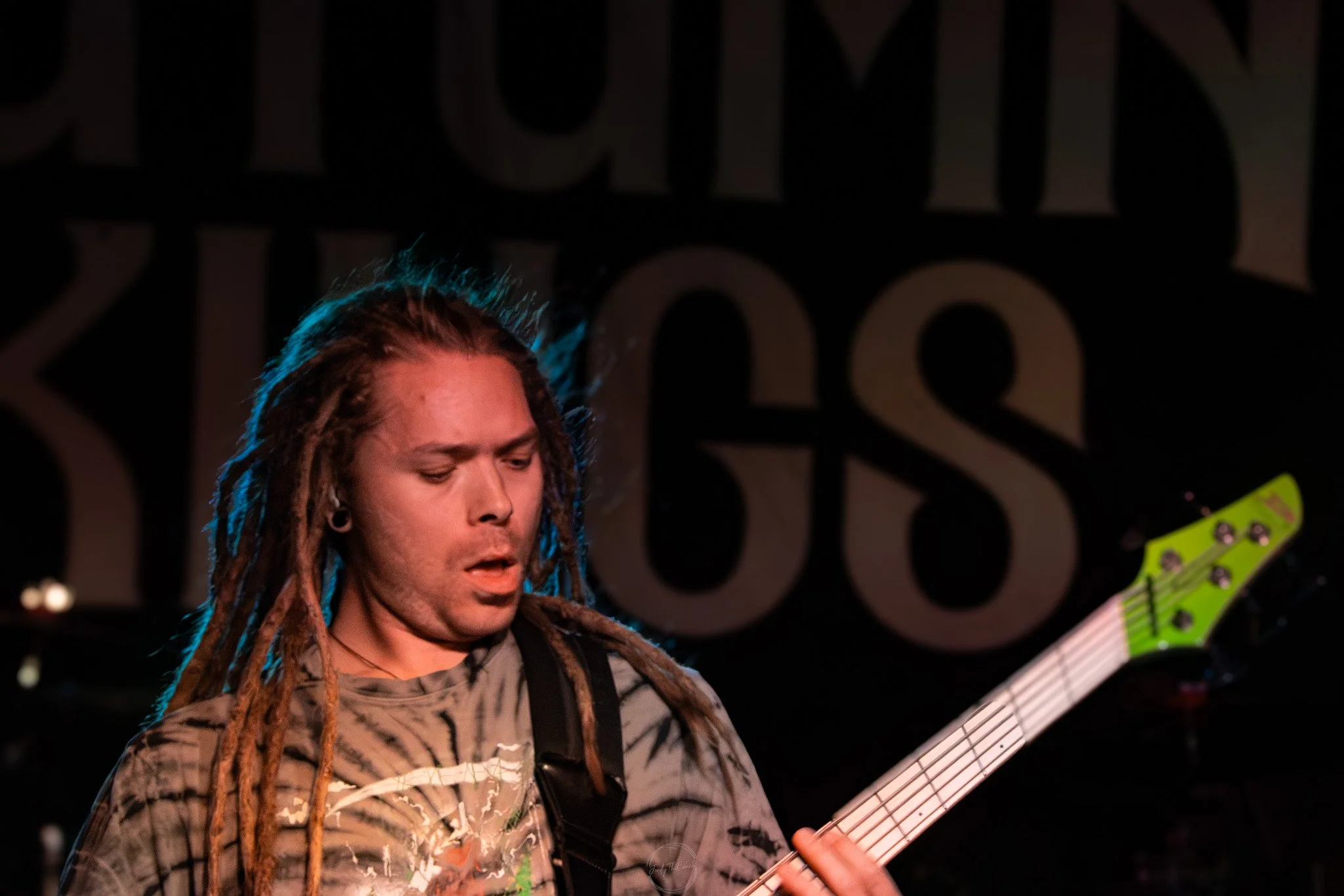 Stray 04-20-36.jpg