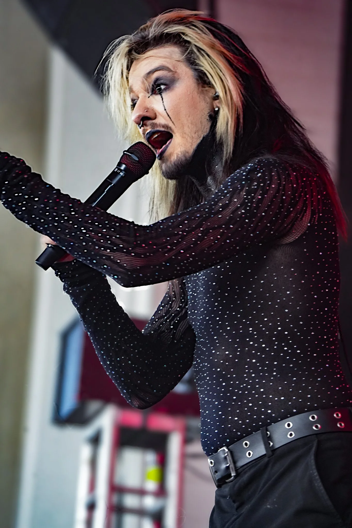 Dark Divine SOL-175.jpg