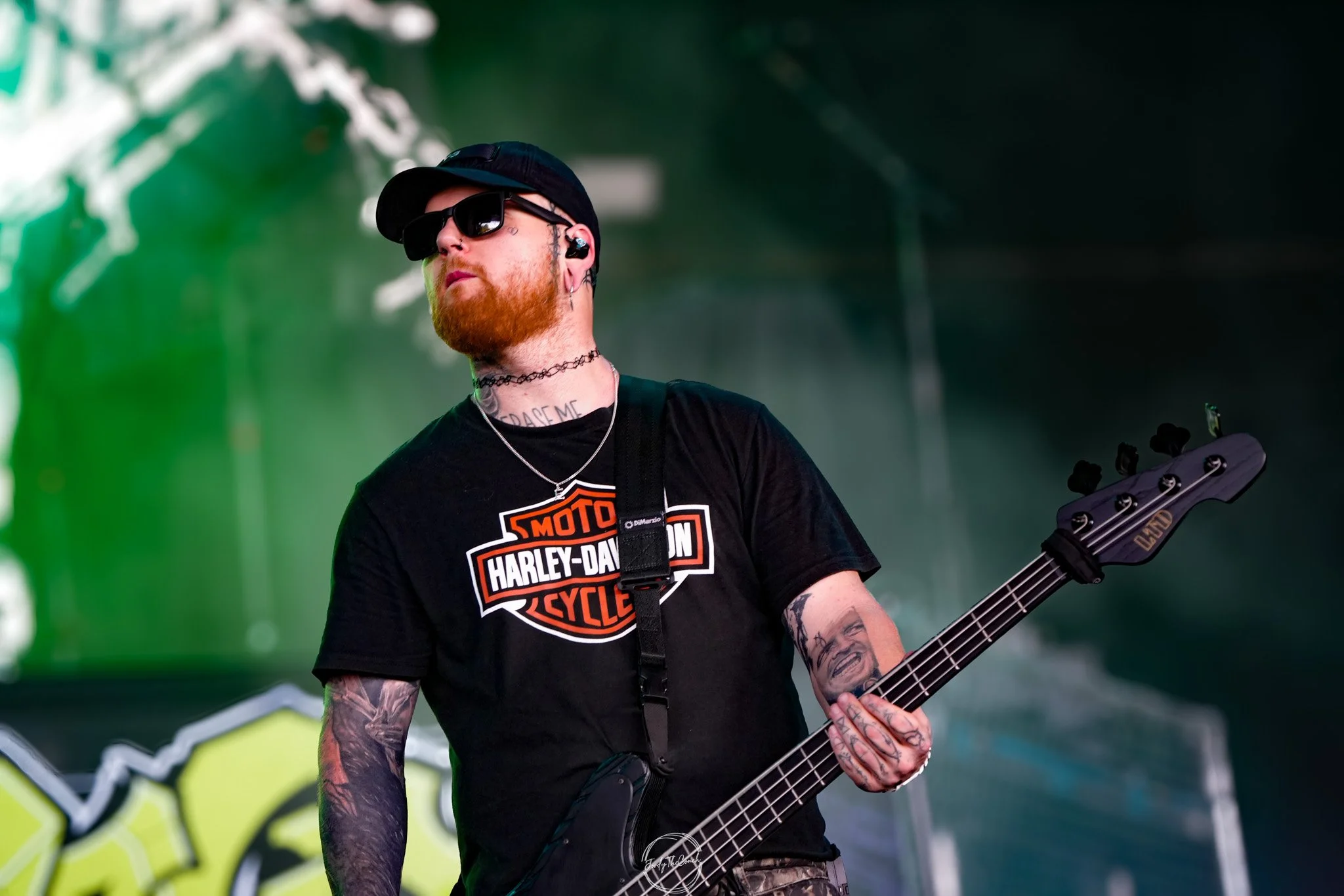 Alphawolf SOL-38.jpg