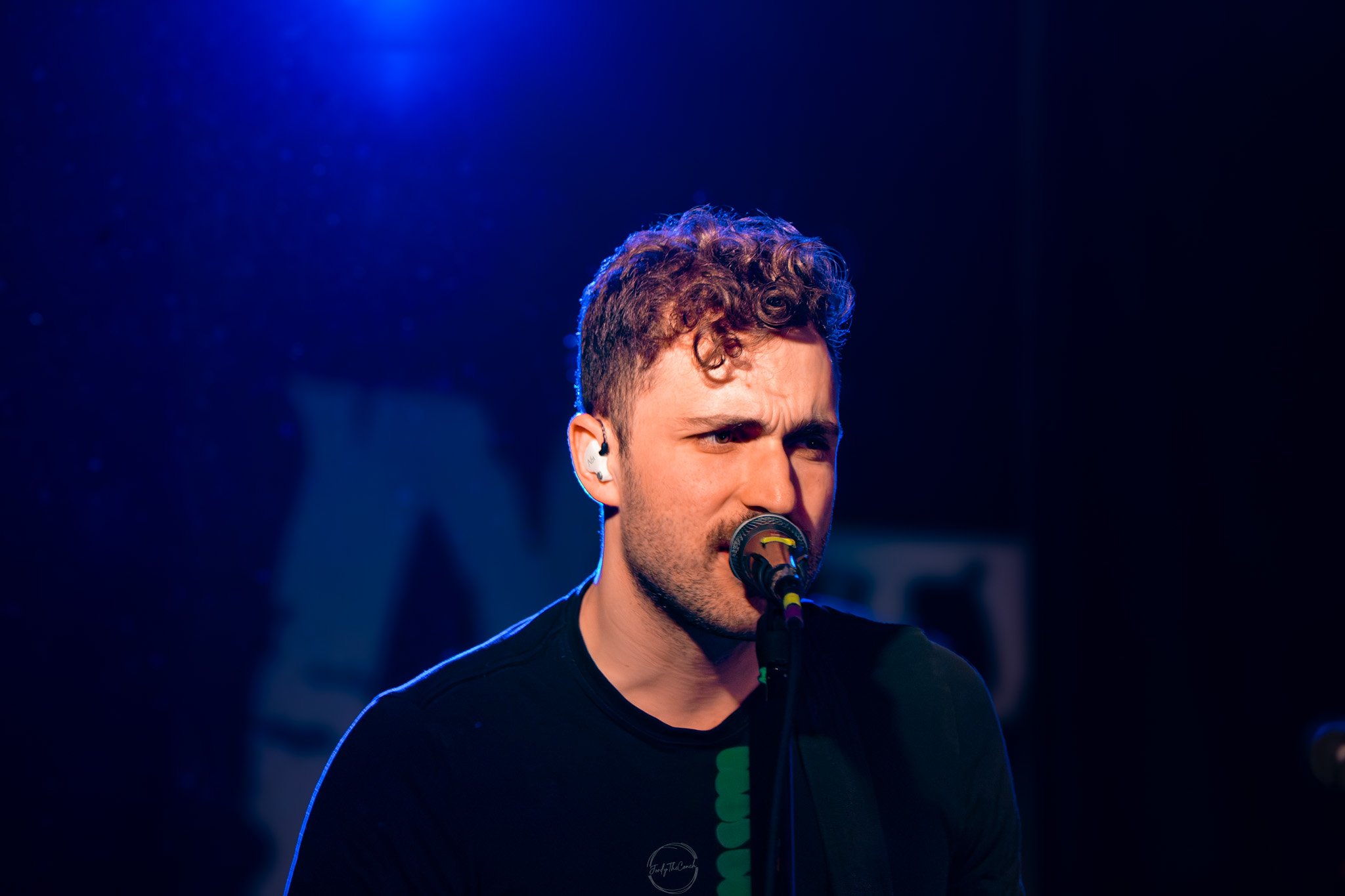 Stray 04-20-2.jpg