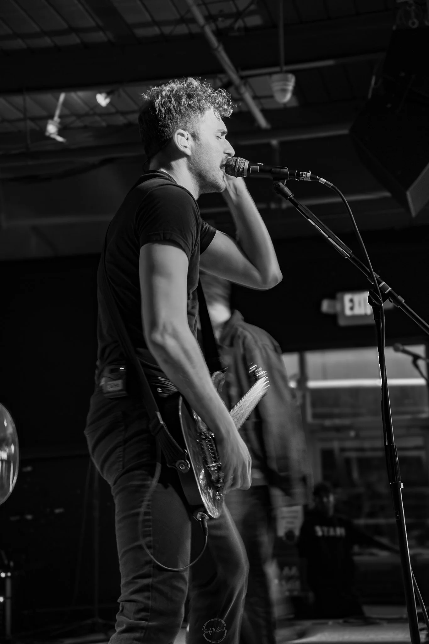 Stray 04-20-12.jpg
