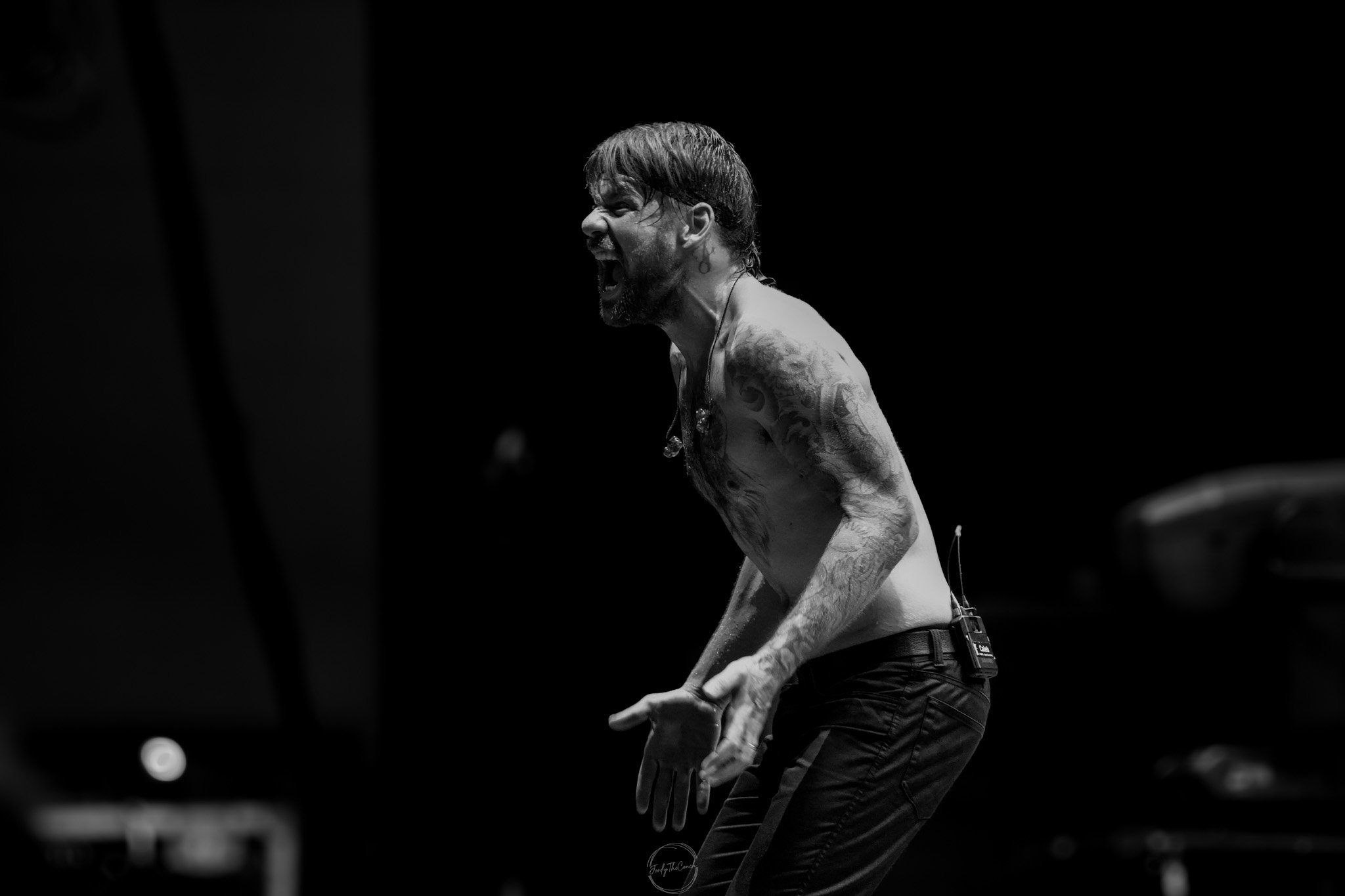 Beartooth SOL-725.jpg