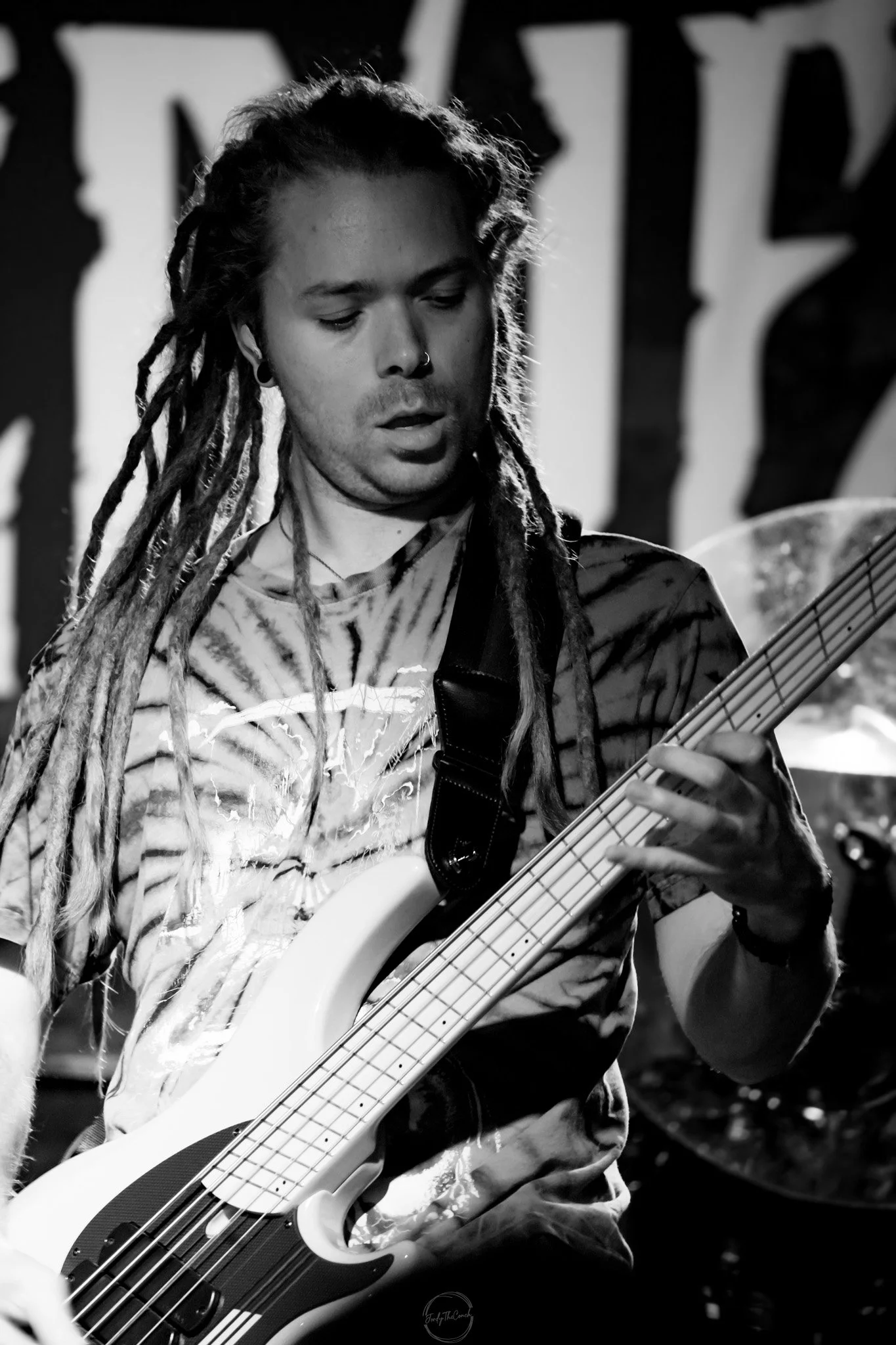 Stray 04-20-120.jpg
