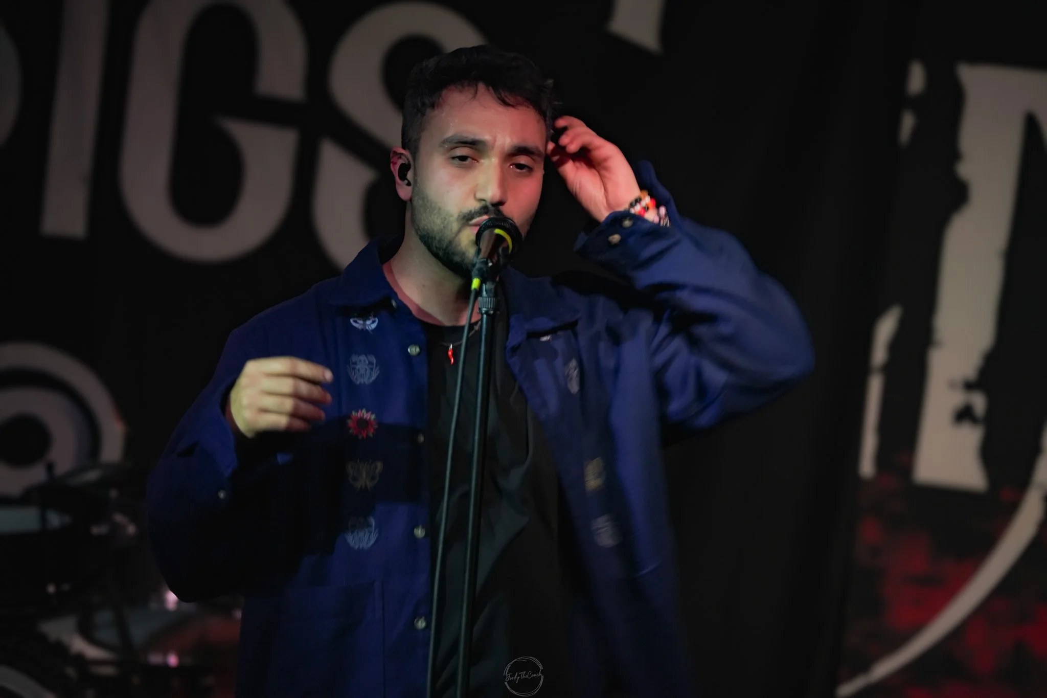 Stray 04-20-93.jpg