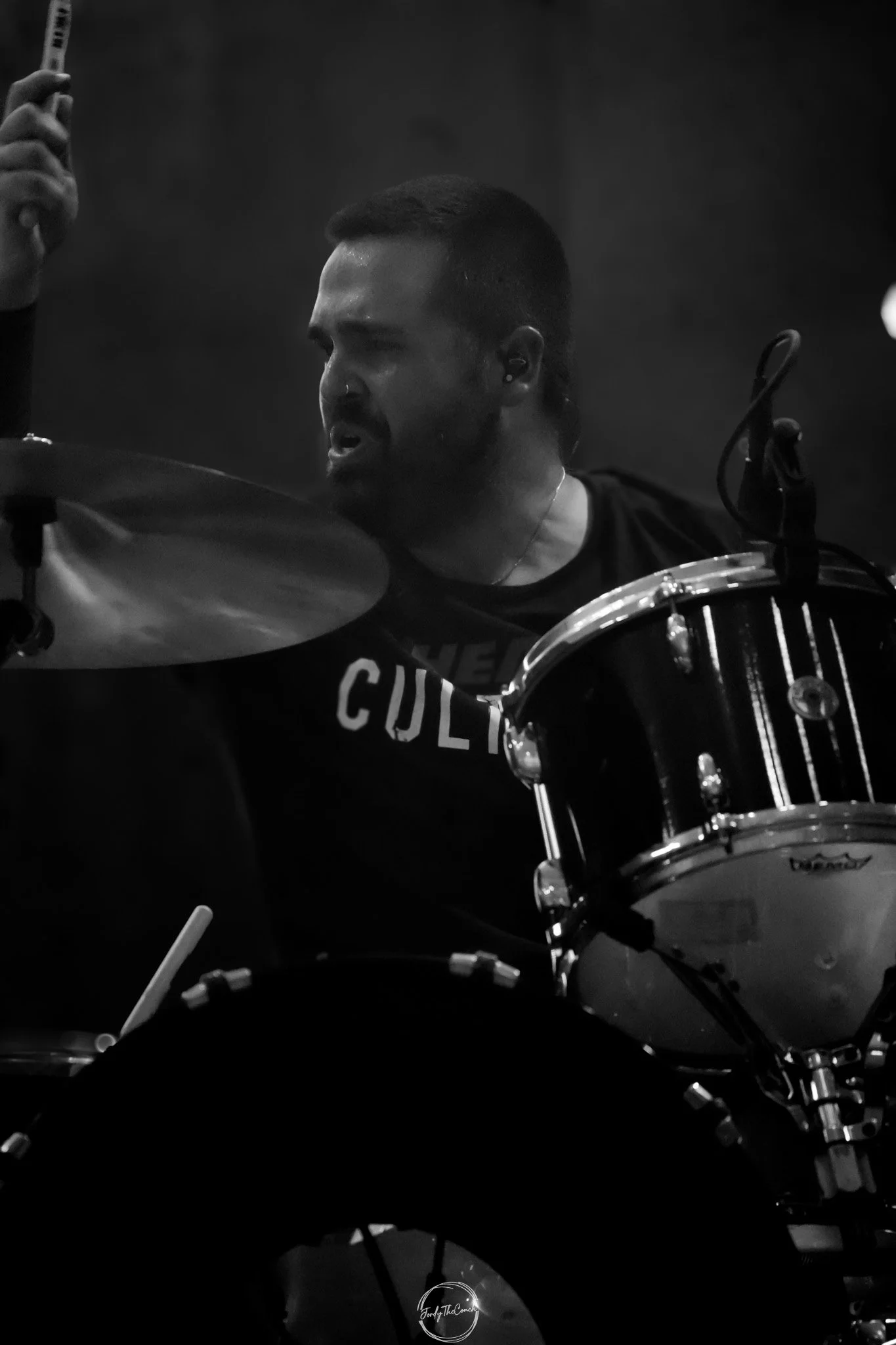 Beartooth SOL-31.jpg