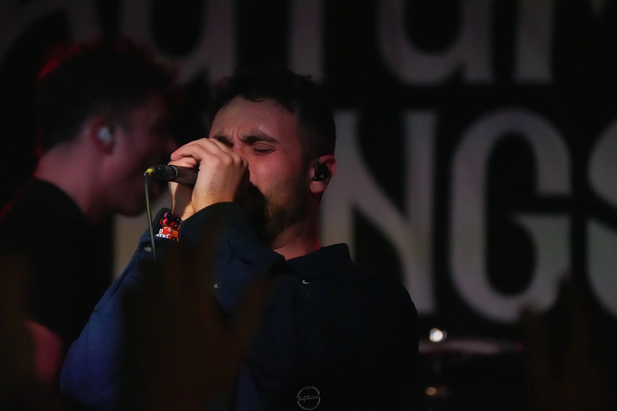 Stray 04-20-84.jpg