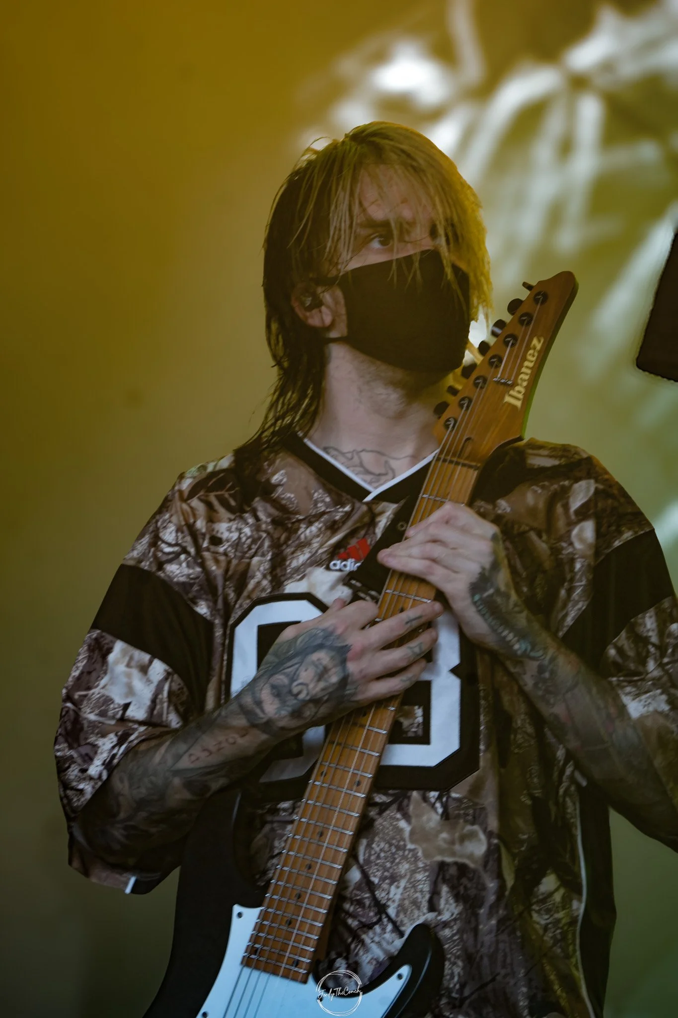 Alphawolf SOL-14.jpg