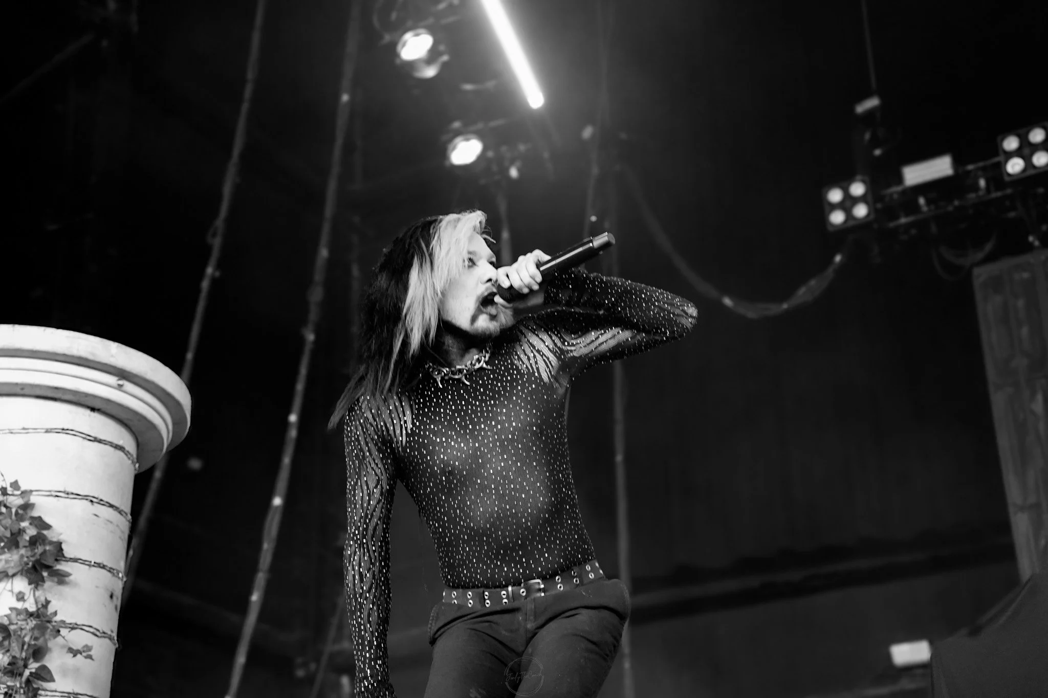 Dark Divine SOL-142.jpg