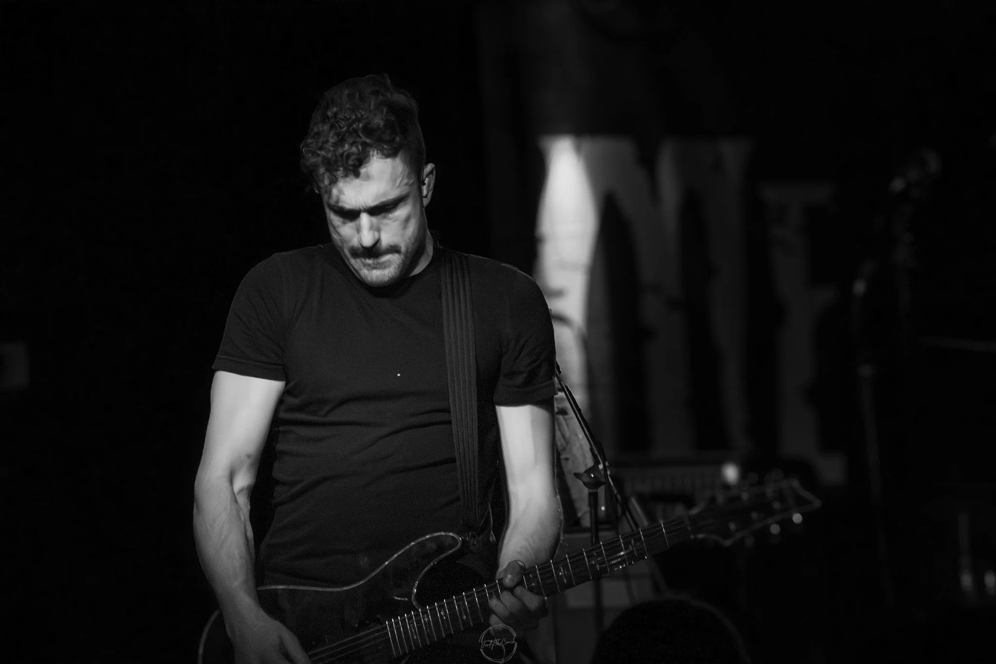 Stray 04-20-26.jpg