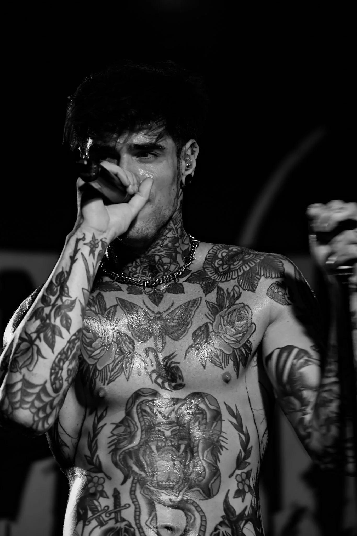 Melrose 04-20-170.jpg