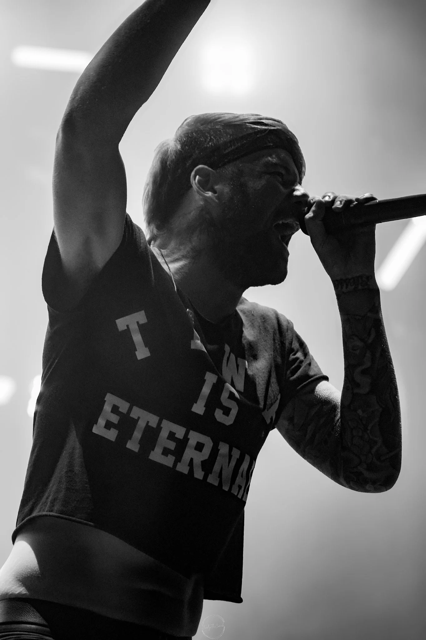 Beartooth SOL-482.jpg