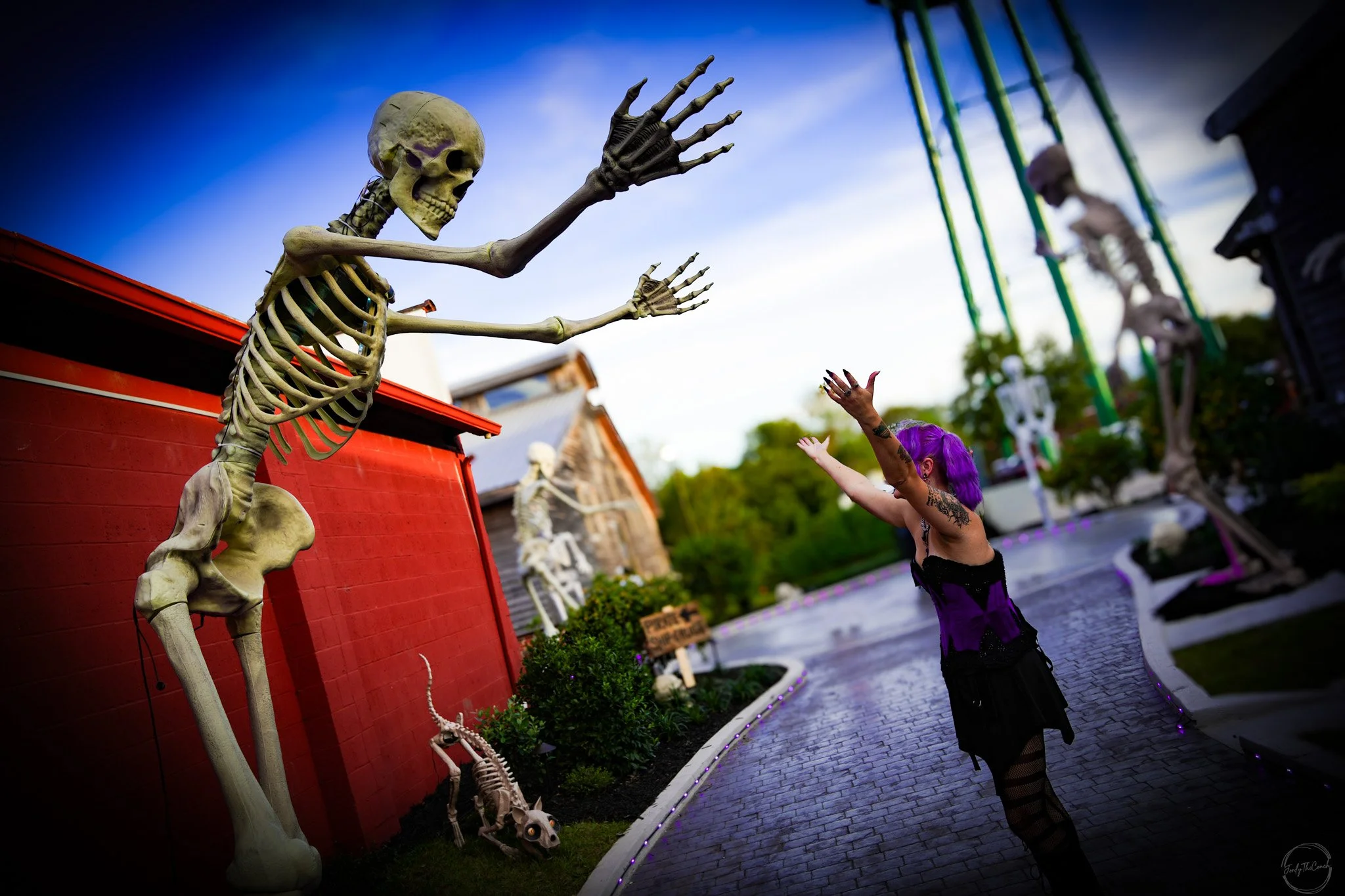 Halloween '25-126.jpg