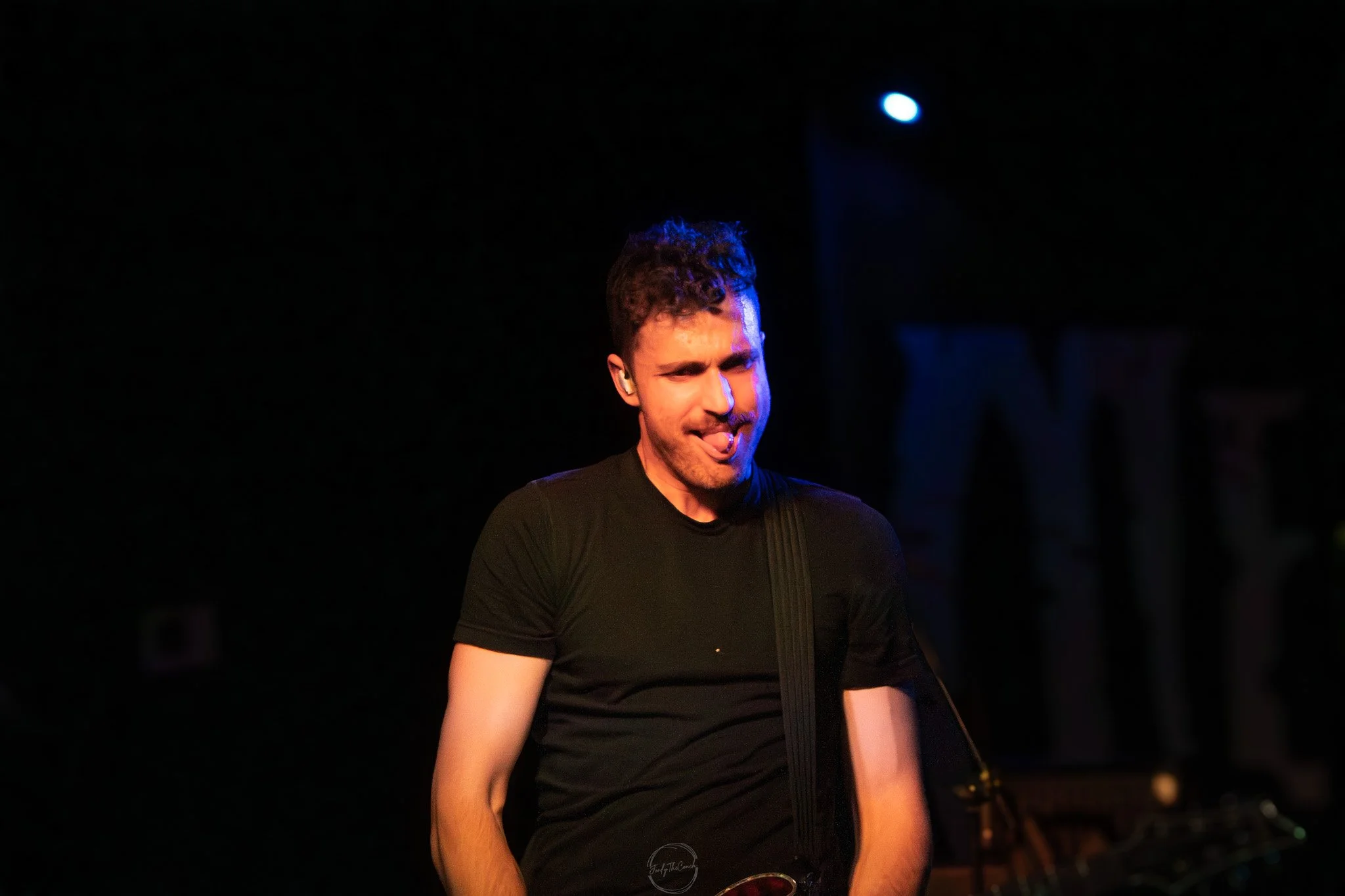 Stray 04-20-23.jpg