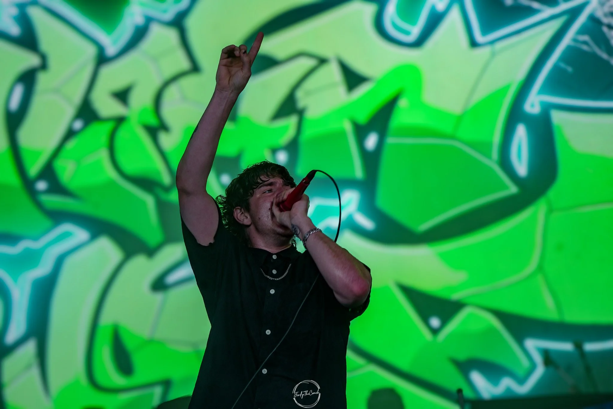 Alphawolf SOL-31.jpg