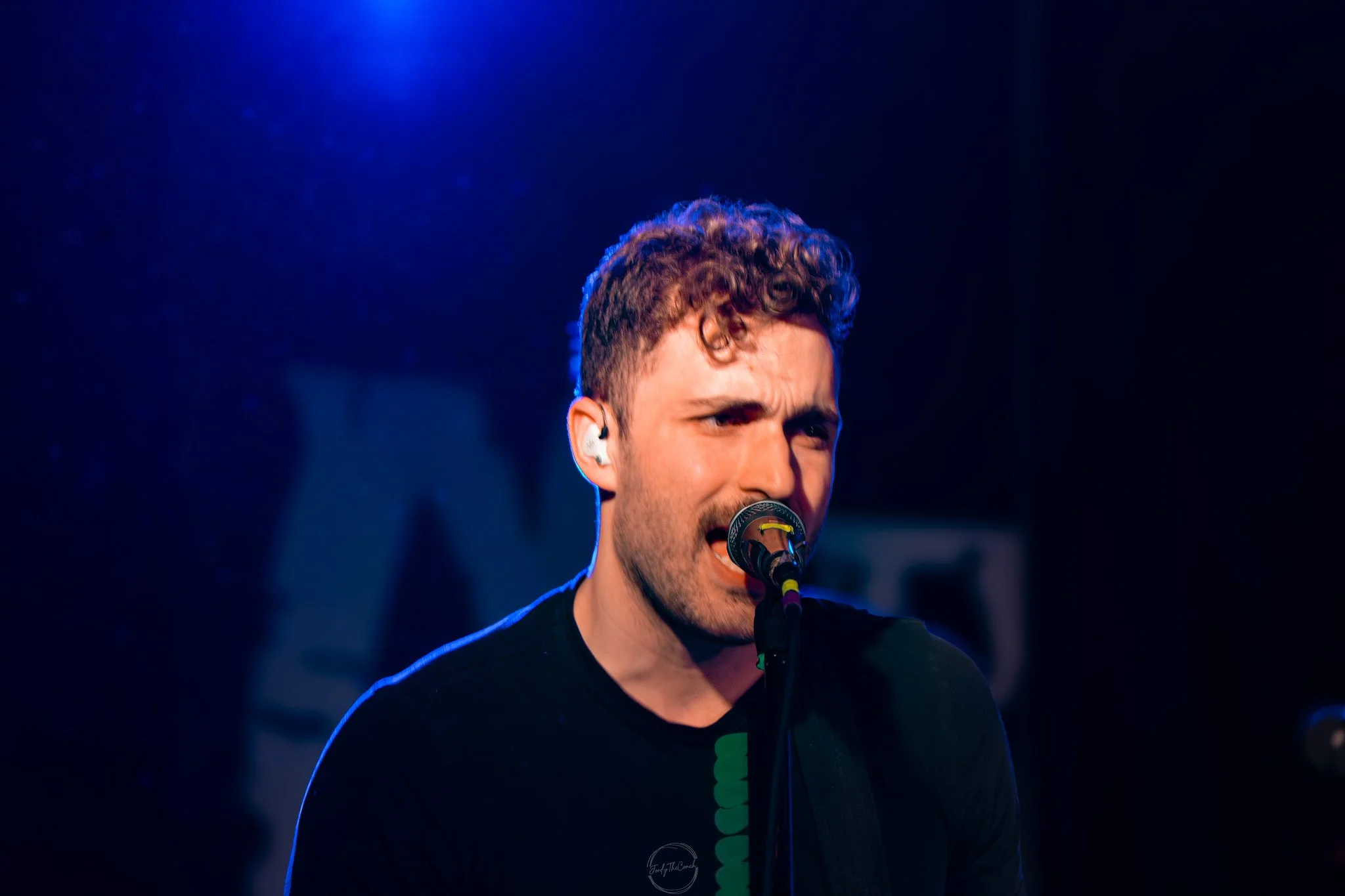Stray 04-20-3.jpg