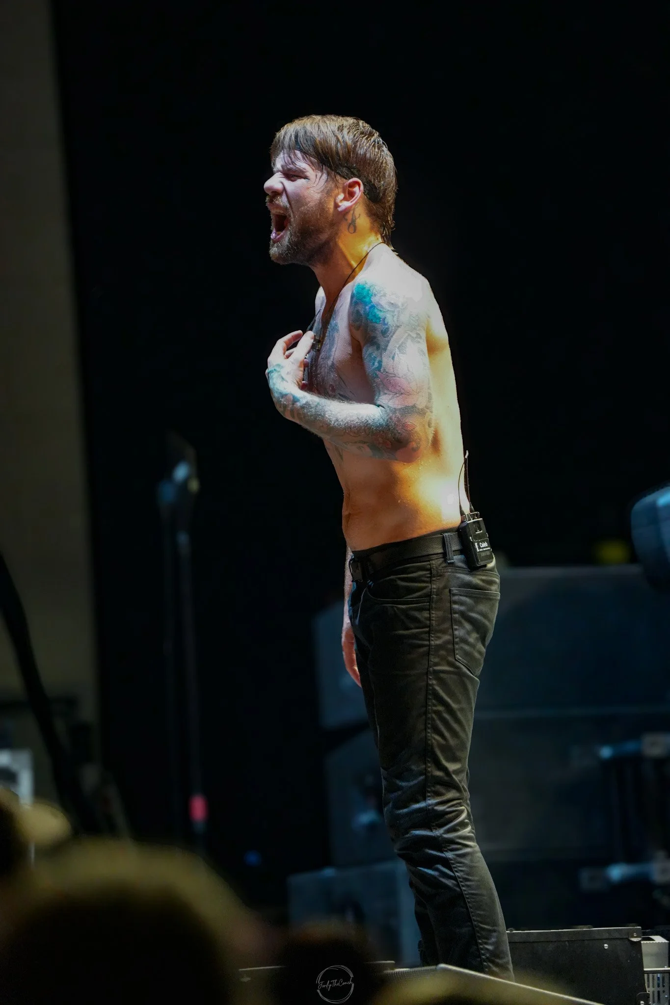 Beartooth SOL-728.jpg