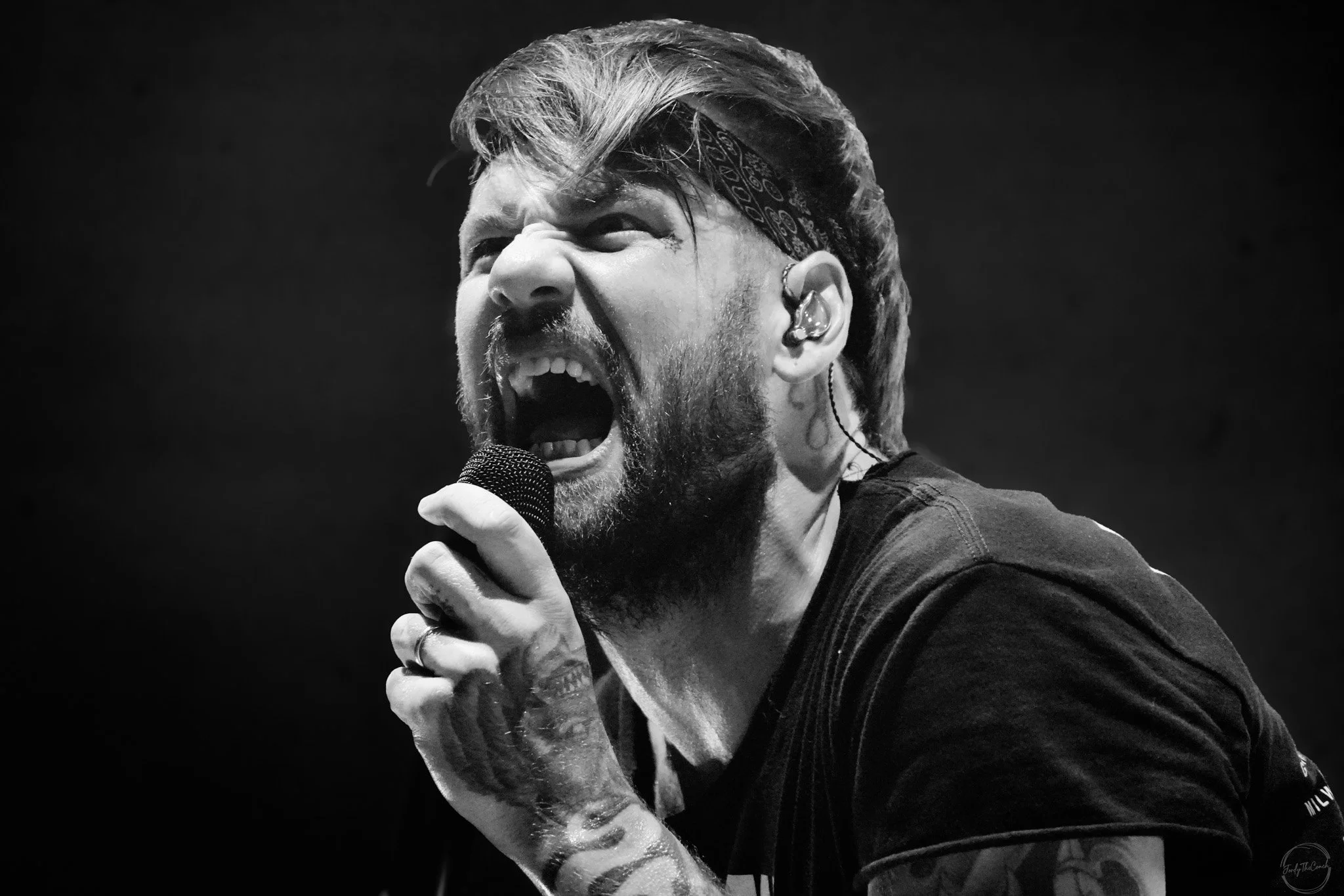 Beartooth
