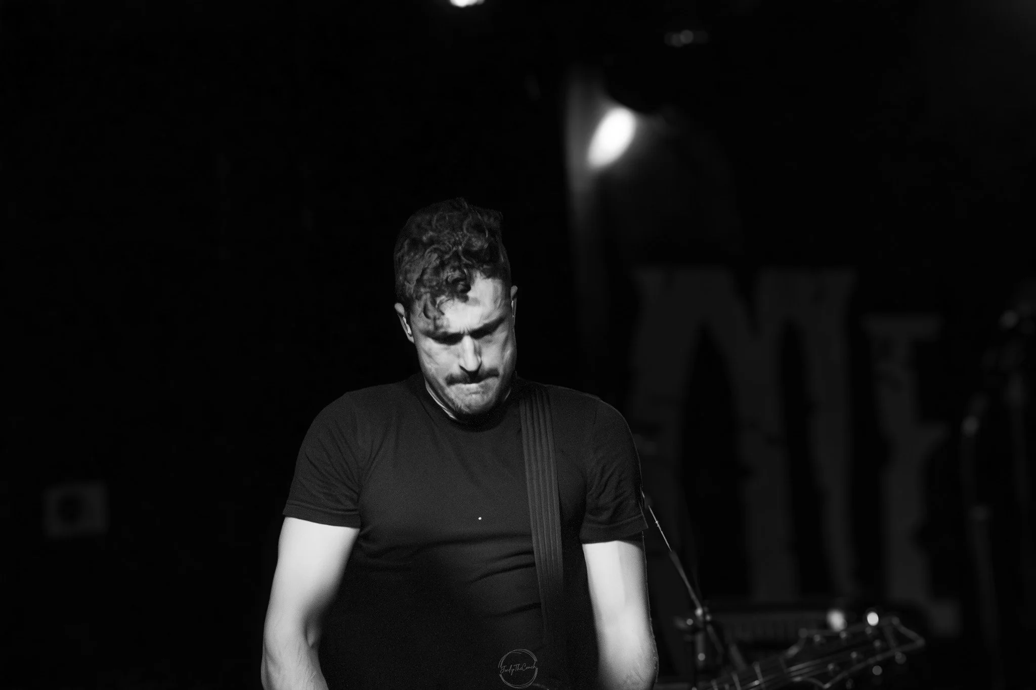 Stray 04-20-25.jpg