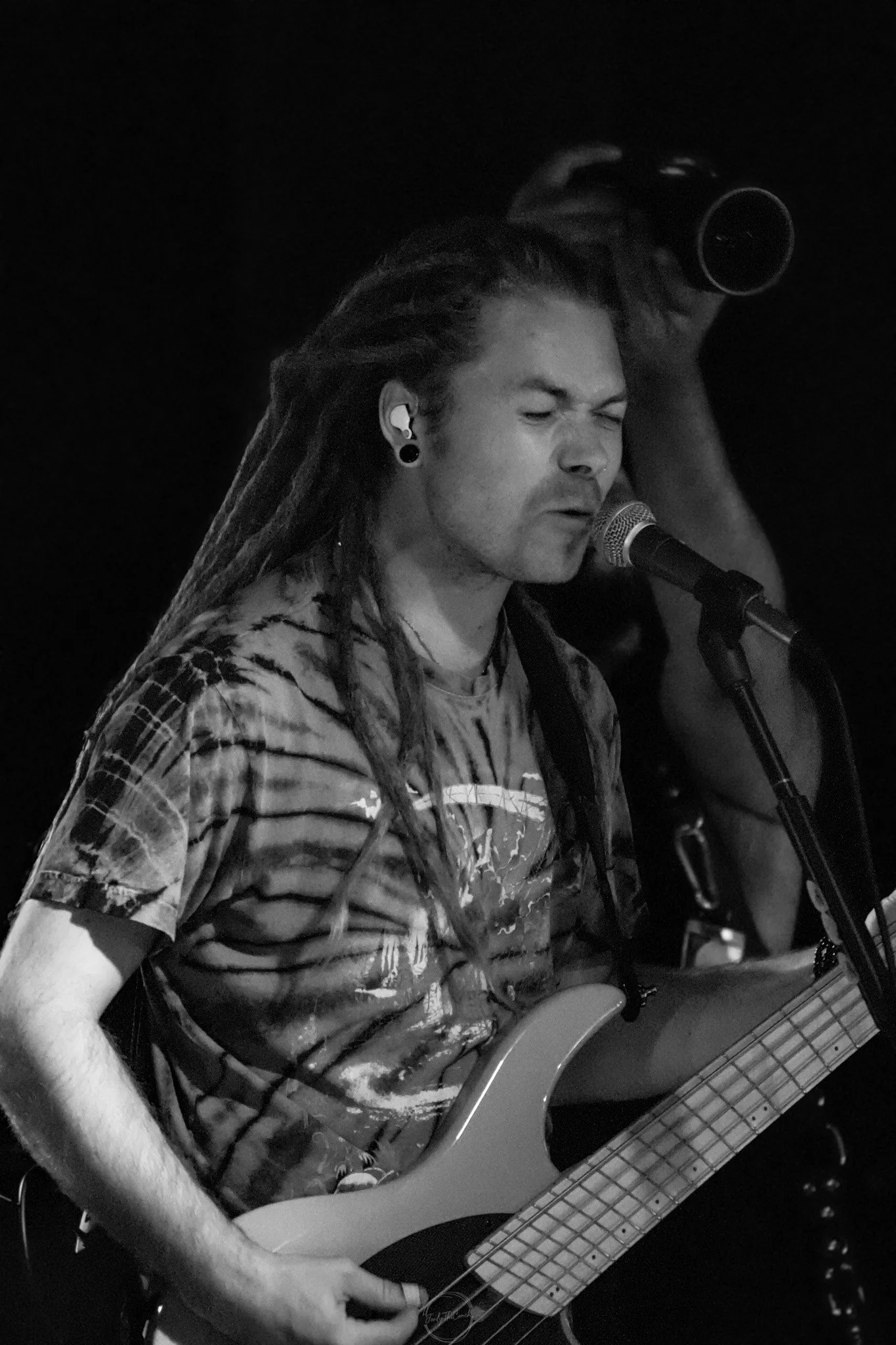 Stray 04-20-68.jpg