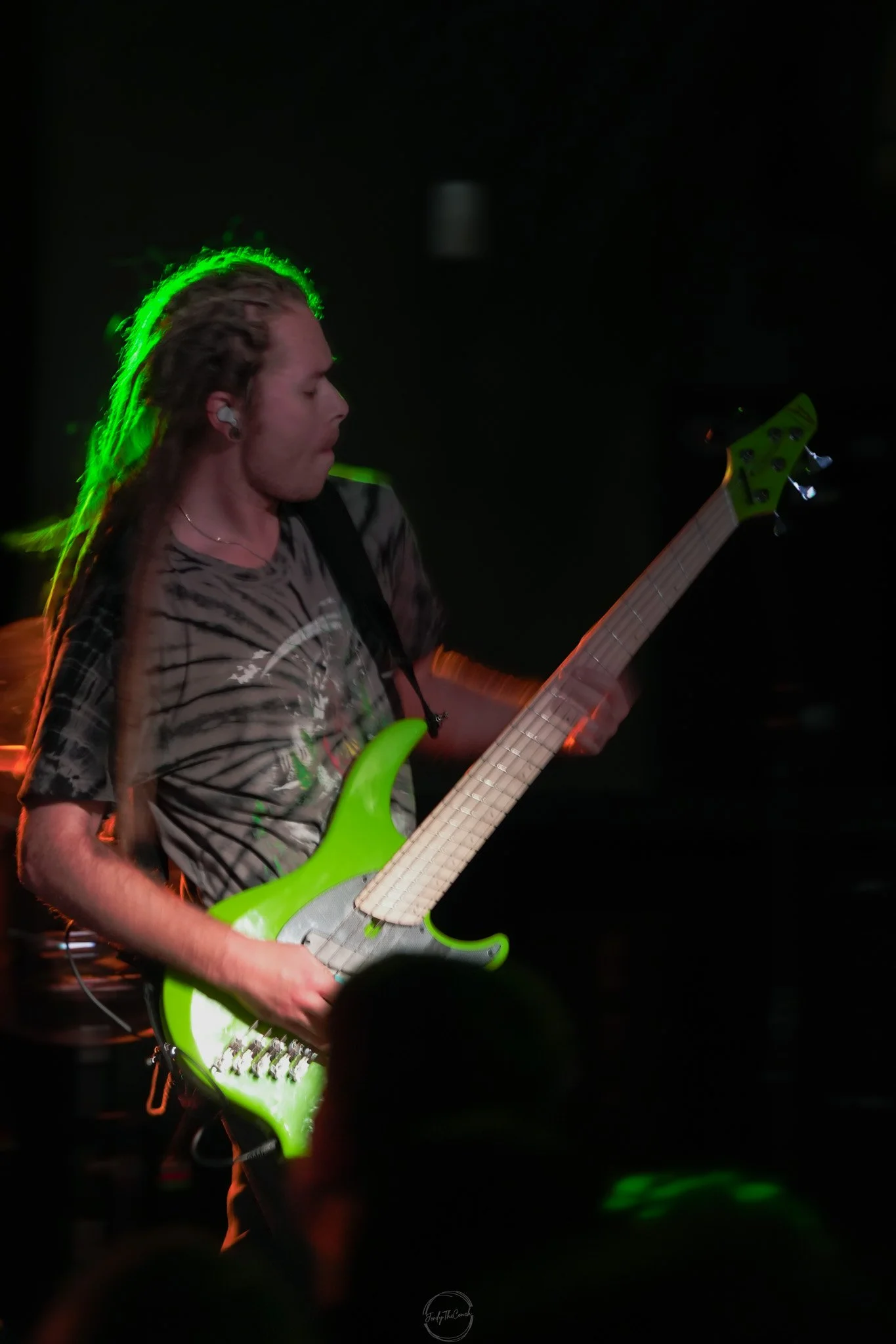 Stray 04-20-140.jpg