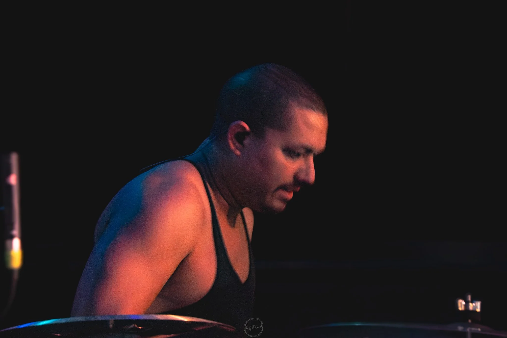 Stray 04-20-18.jpg