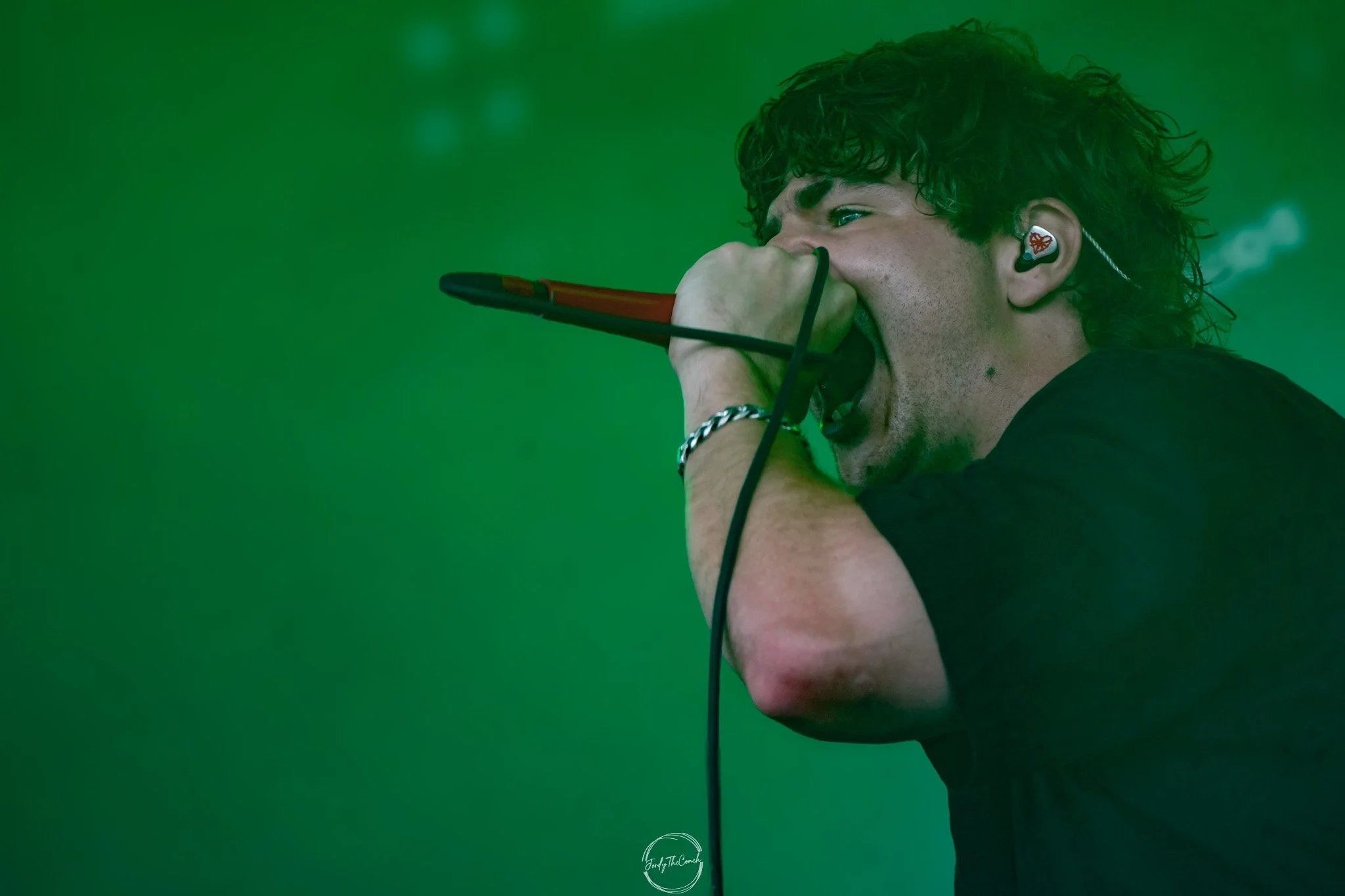 Alphawolf SOL-10.jpg