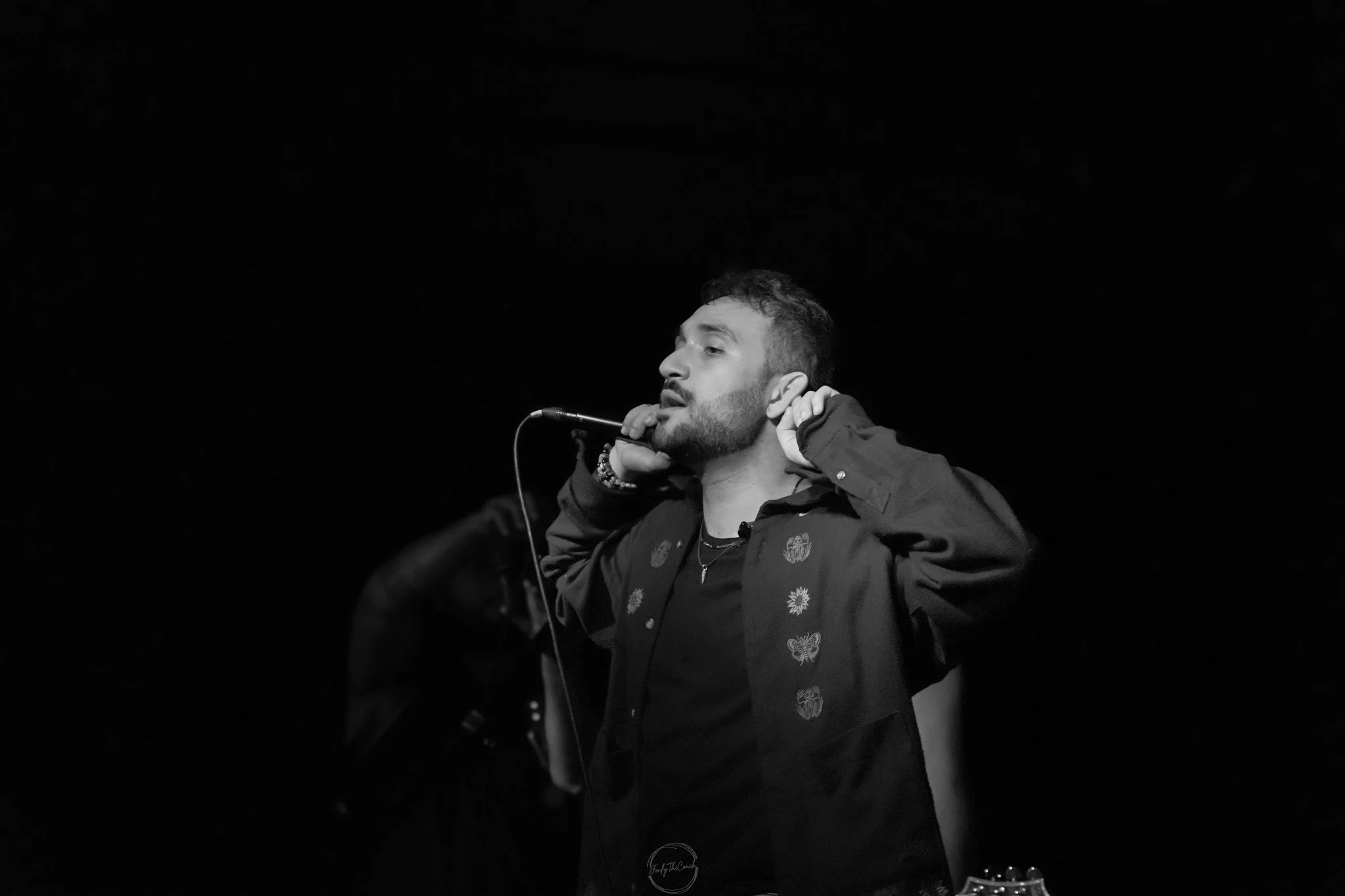 Stray 04-20-123.jpg