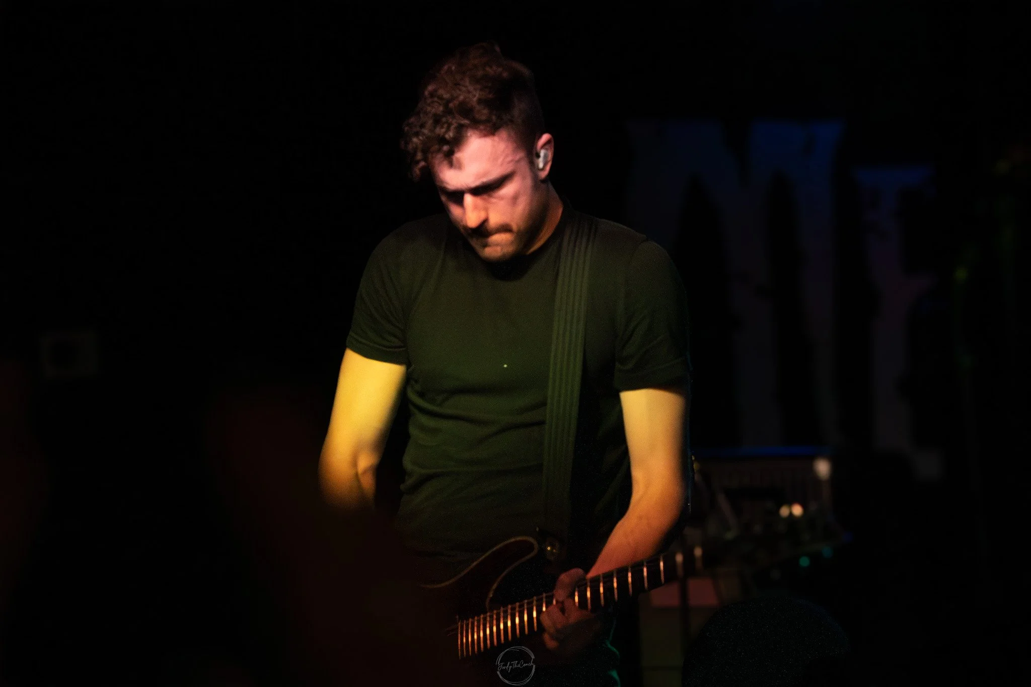 Stray 04-20-27.jpg
