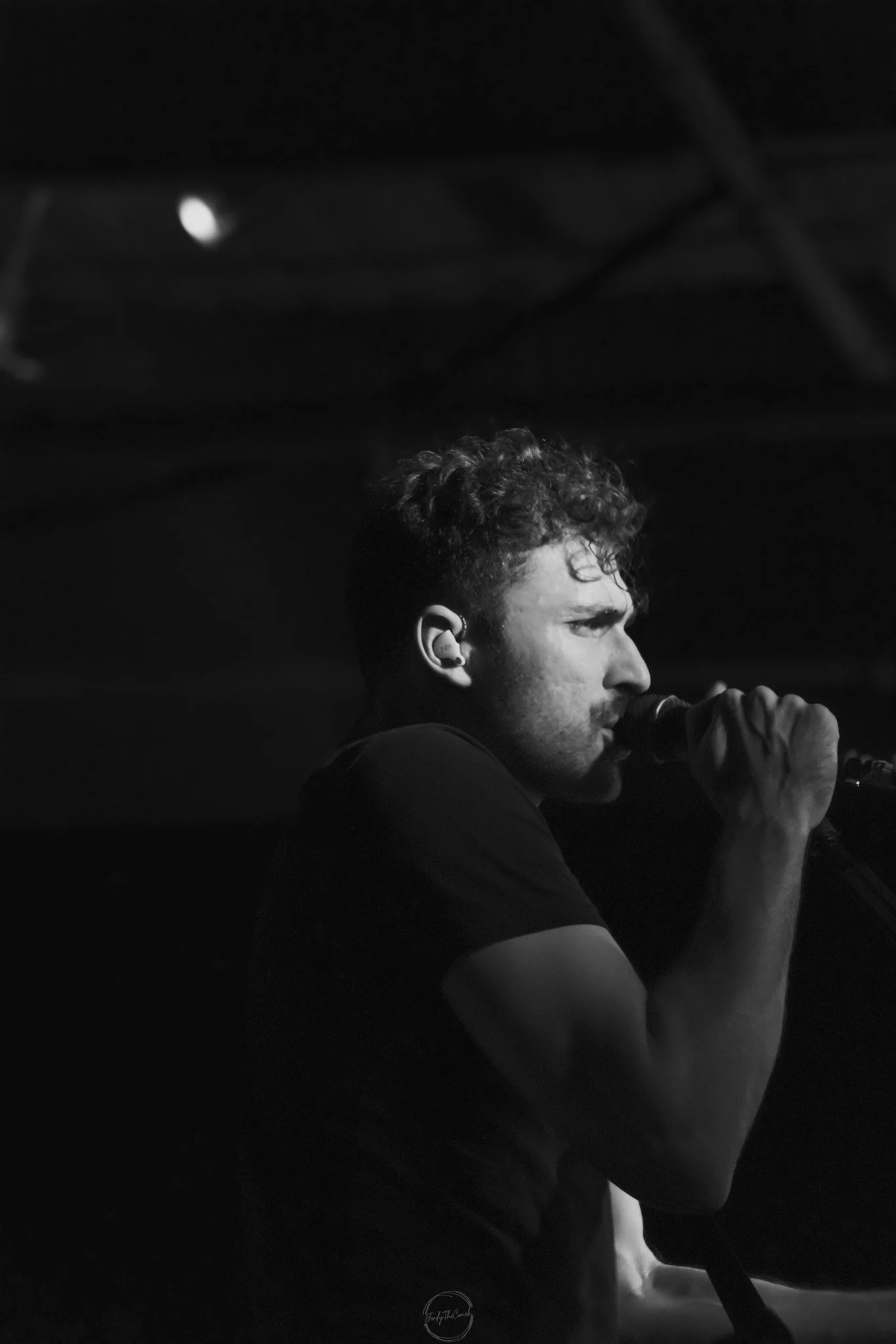 Stray 04-20-147.jpg