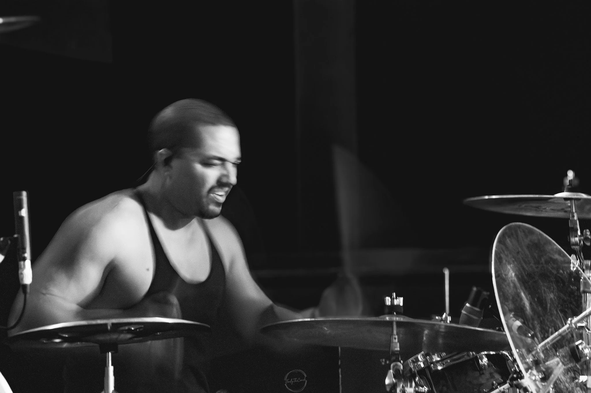 Stray 04-20-20.jpg