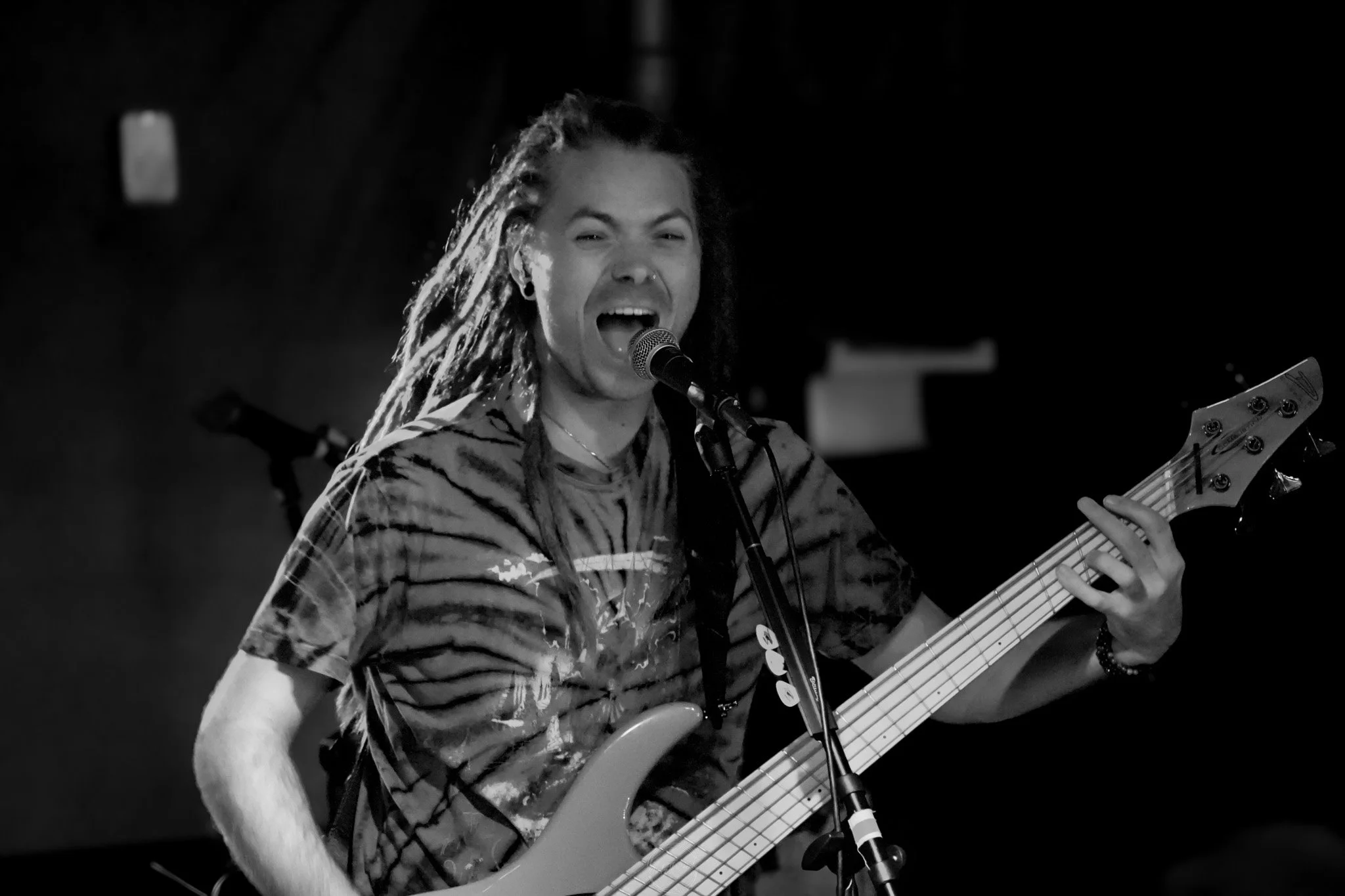 Stray 04-20-49.jpg