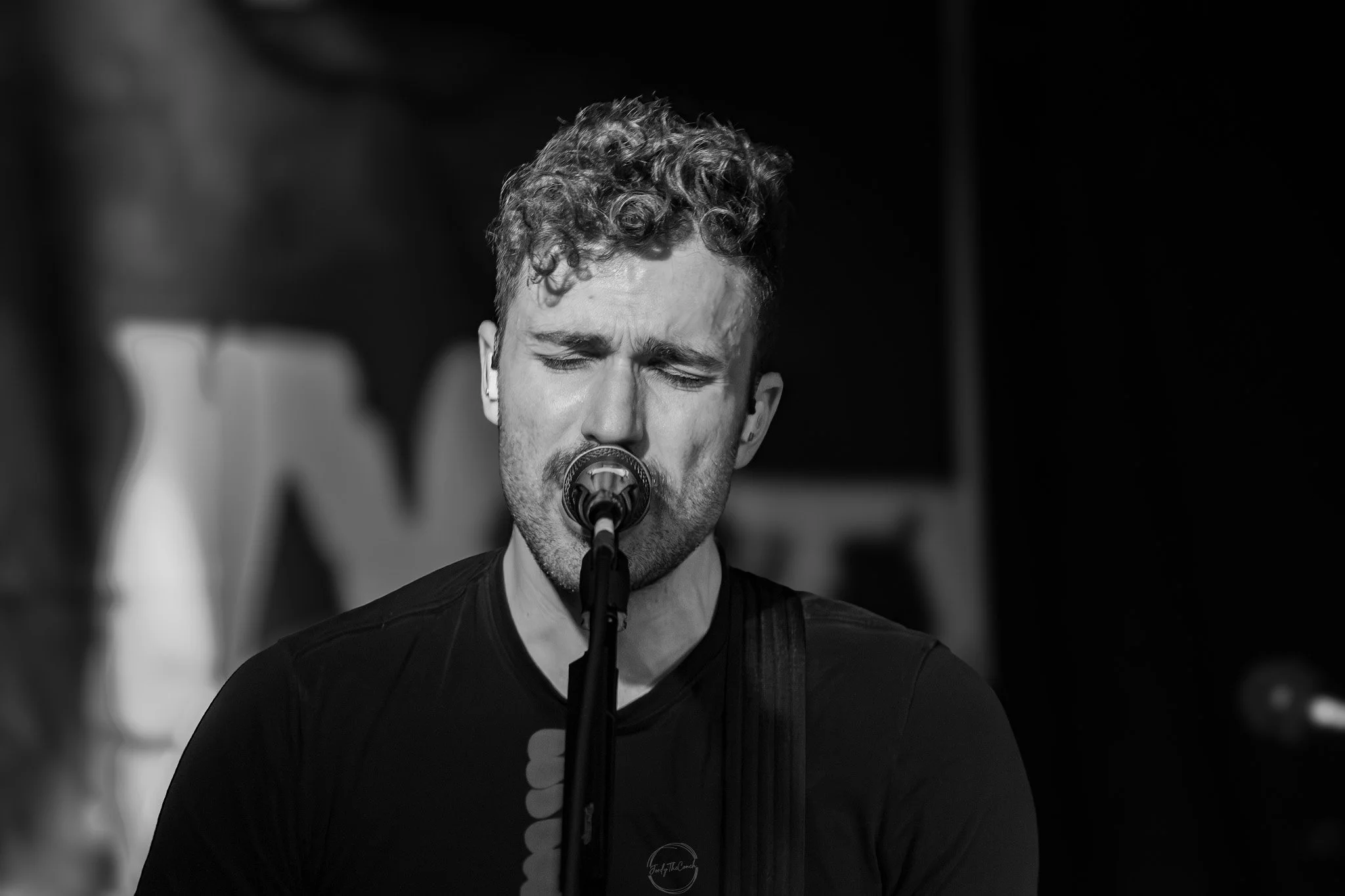 Stray 04-20-7.jpg