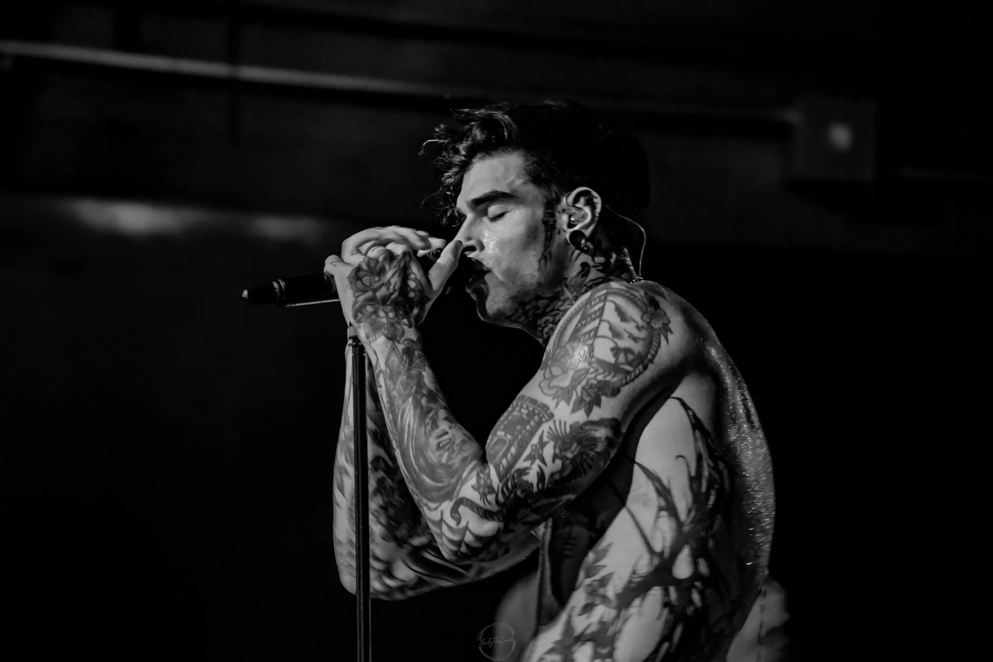 Melrose 04-20-141.jpg