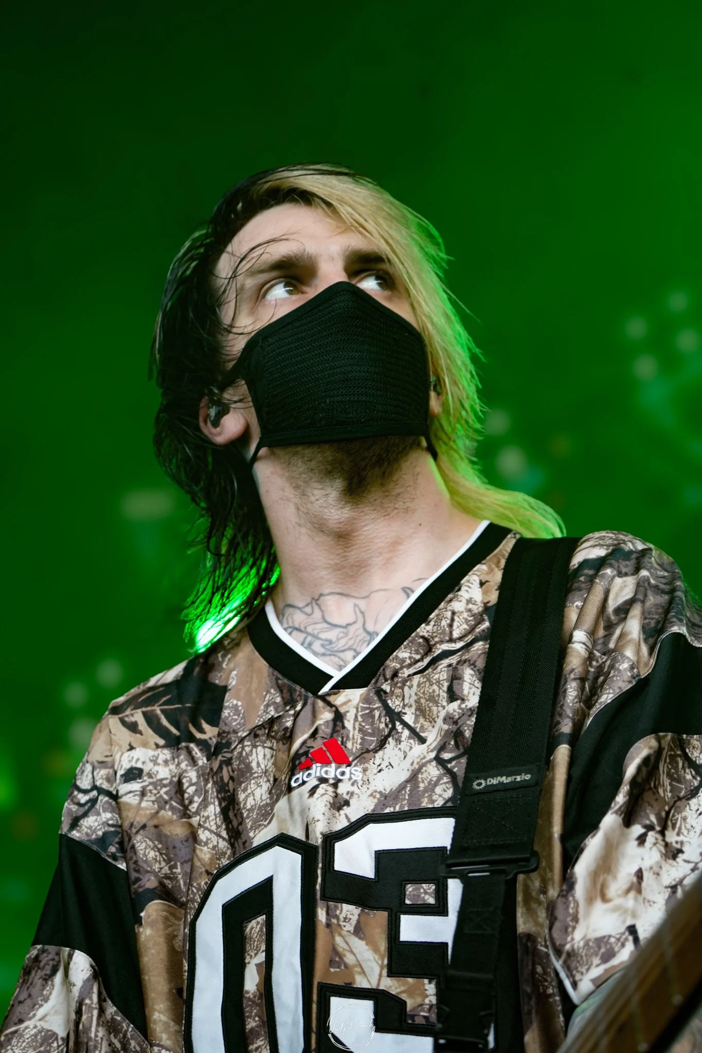 Alphawolf SOL-27.jpg