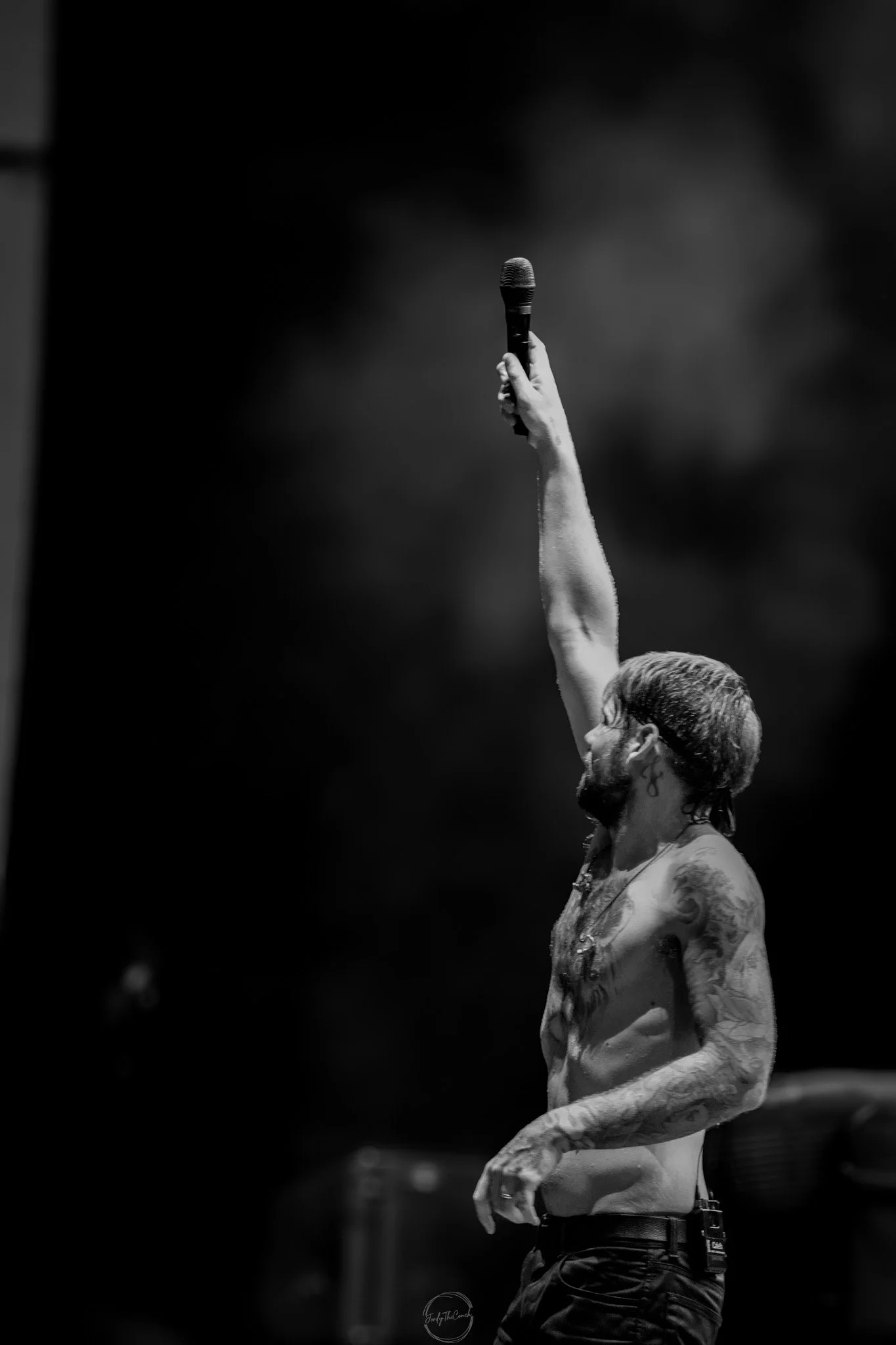 Beartooth SOL-714.jpg