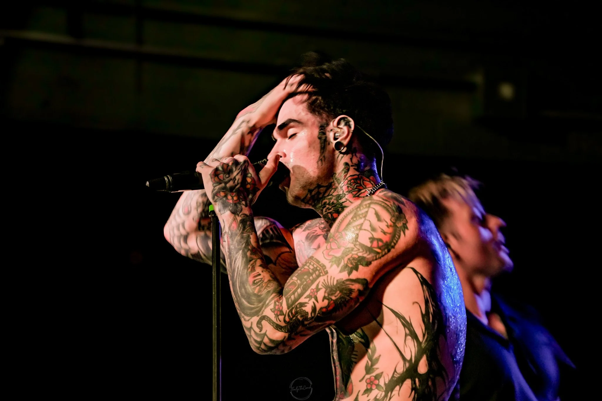 Melrose 04-20-138.jpg