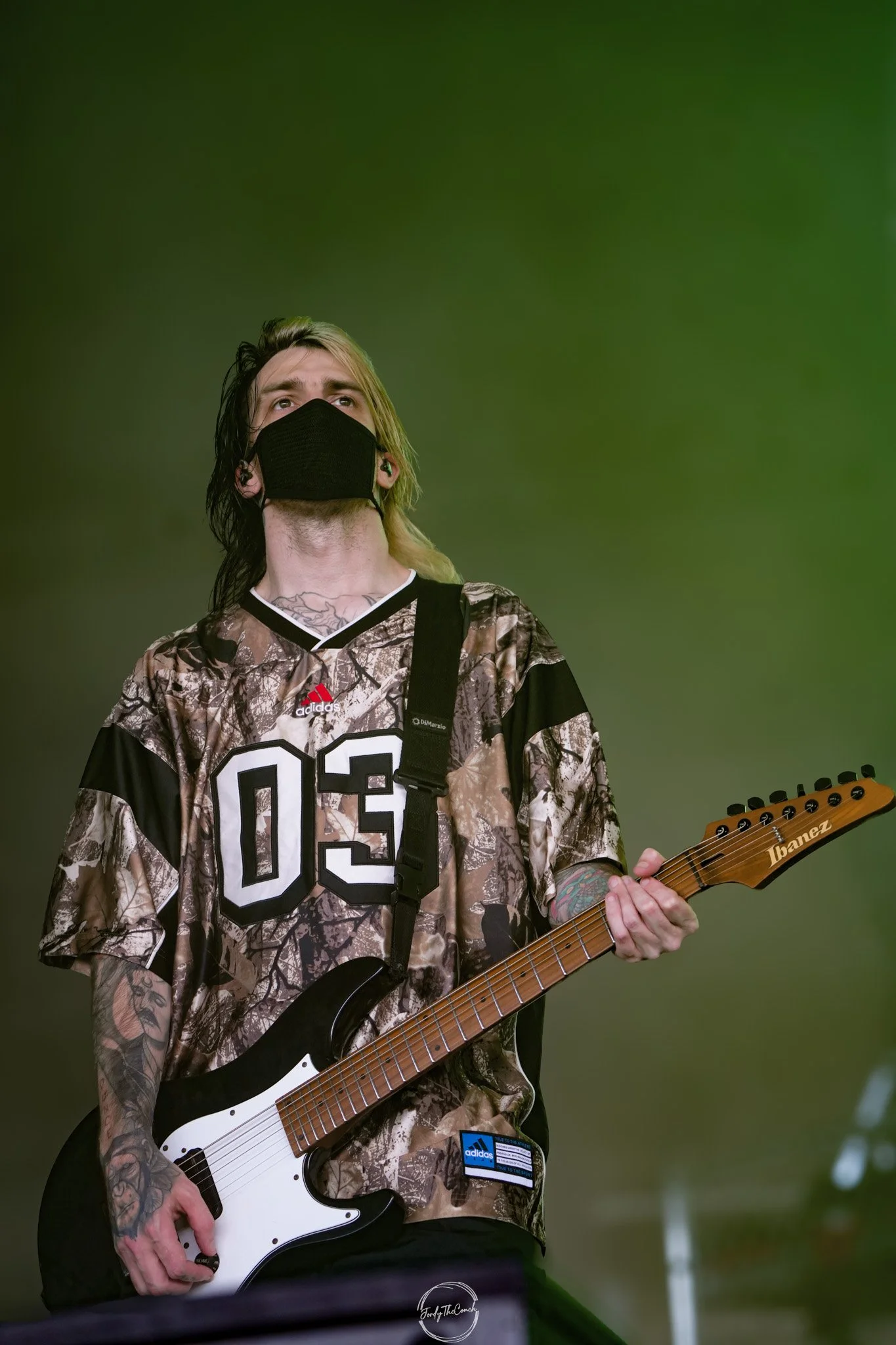 Alphawolf SOL-15.jpg