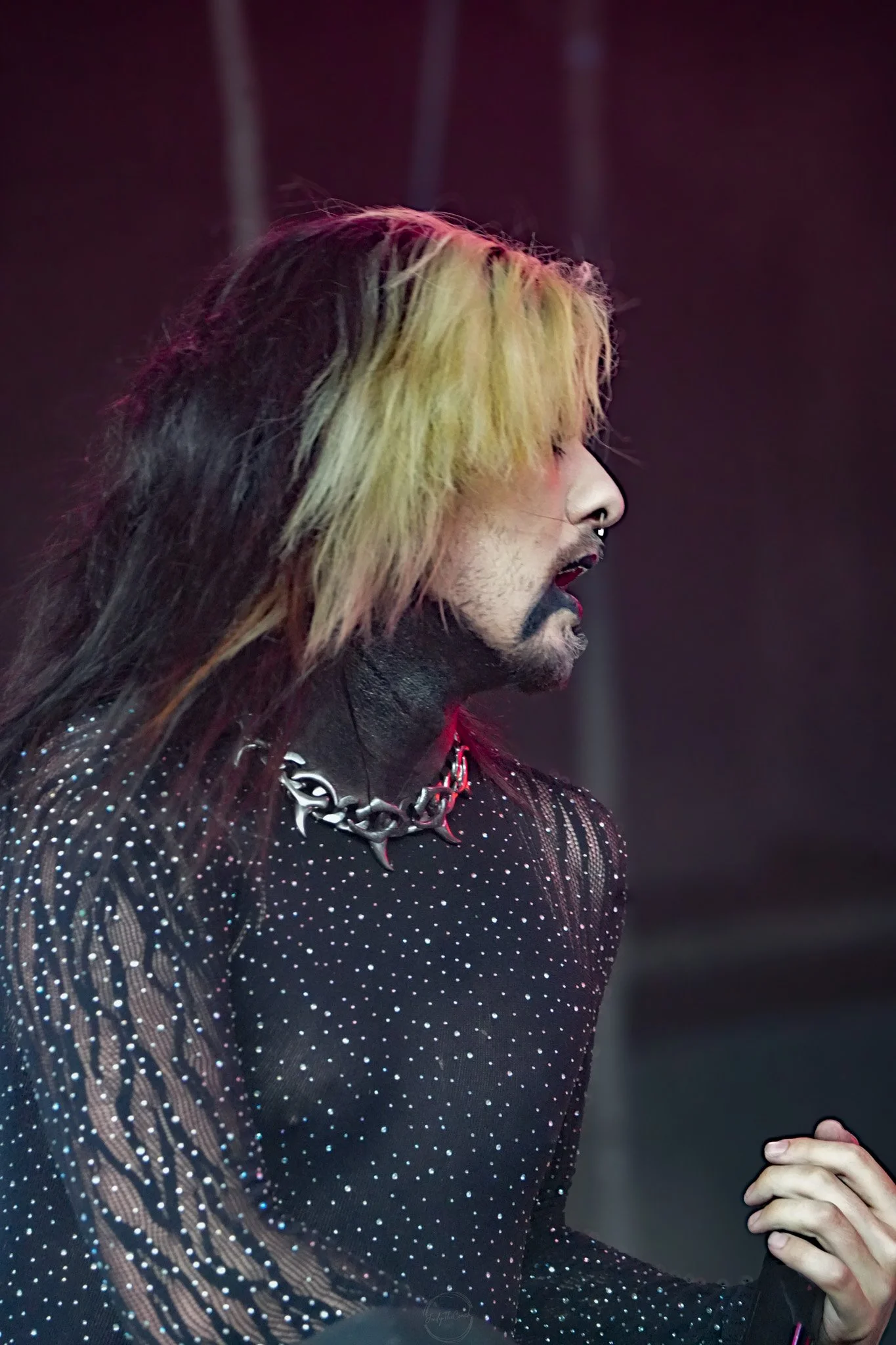 Dark Divine SOL-148.jpg